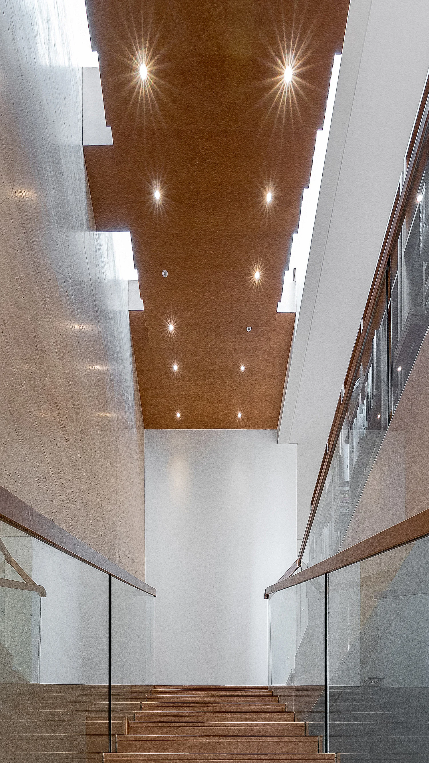 _1070231-Web-Display Sharpen.jpg