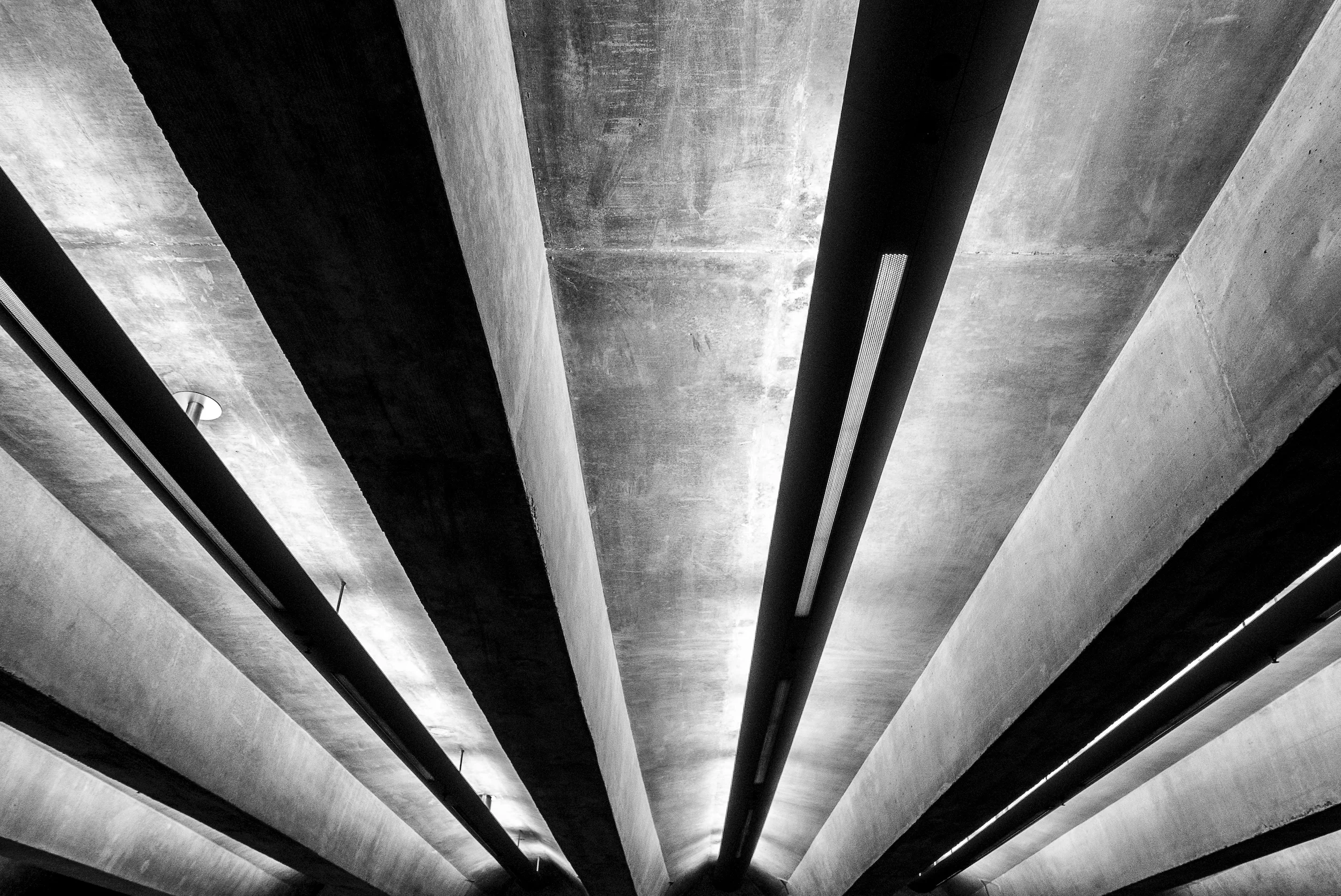 Kafin Spasium 13.jpg