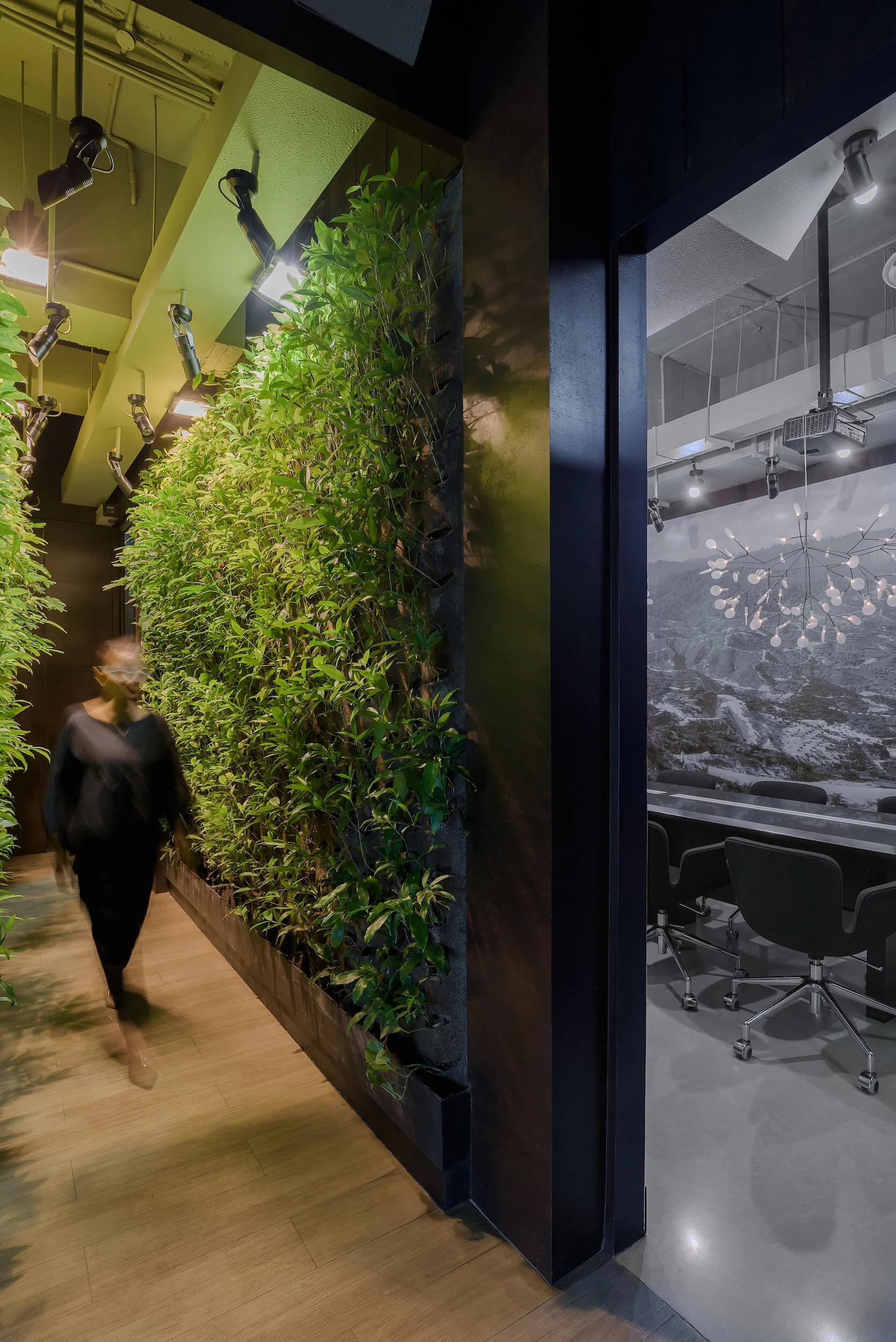 The Pipit Group Office - Website 00008.jpg