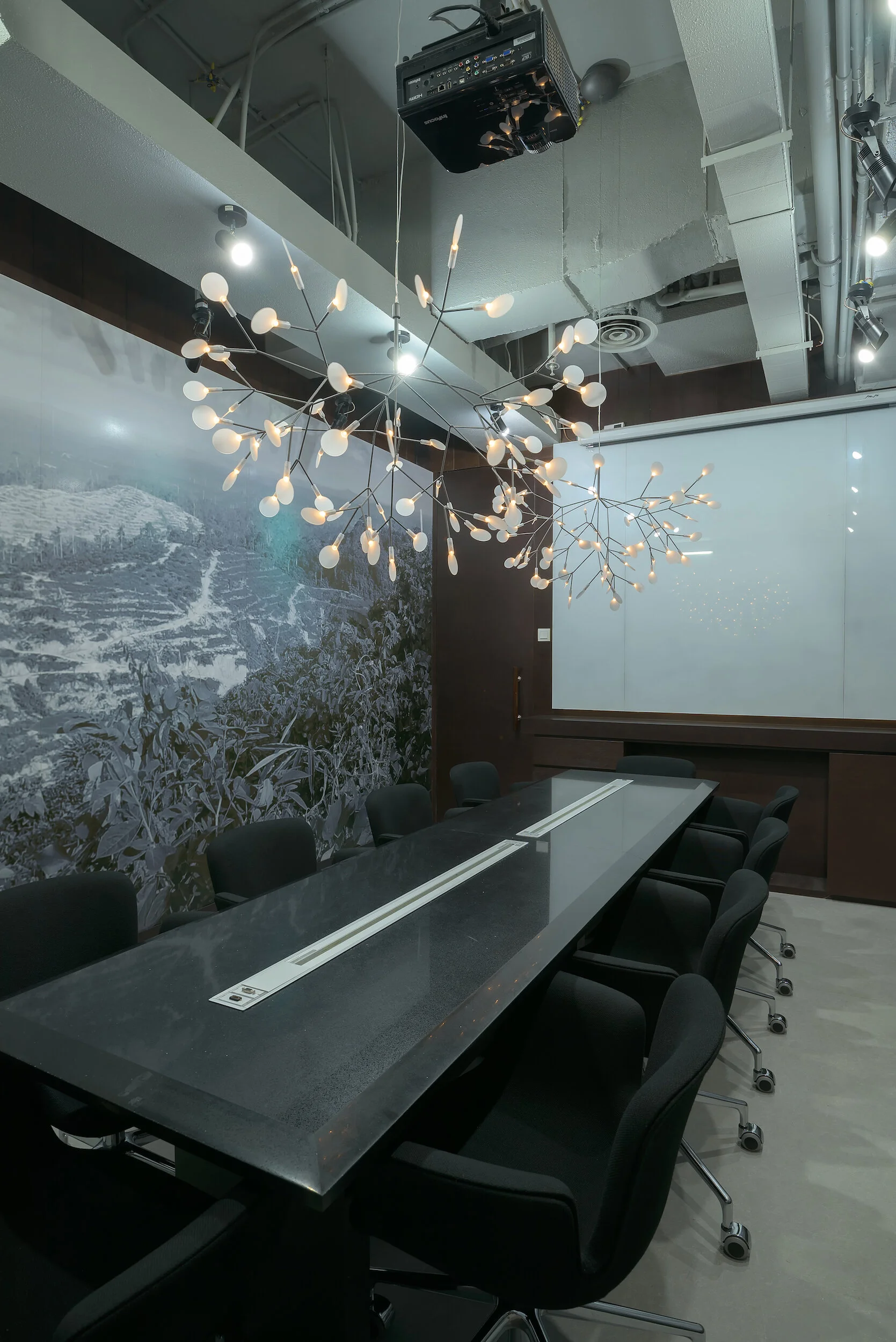 The Pipit Group Office - Website 00014.jpg