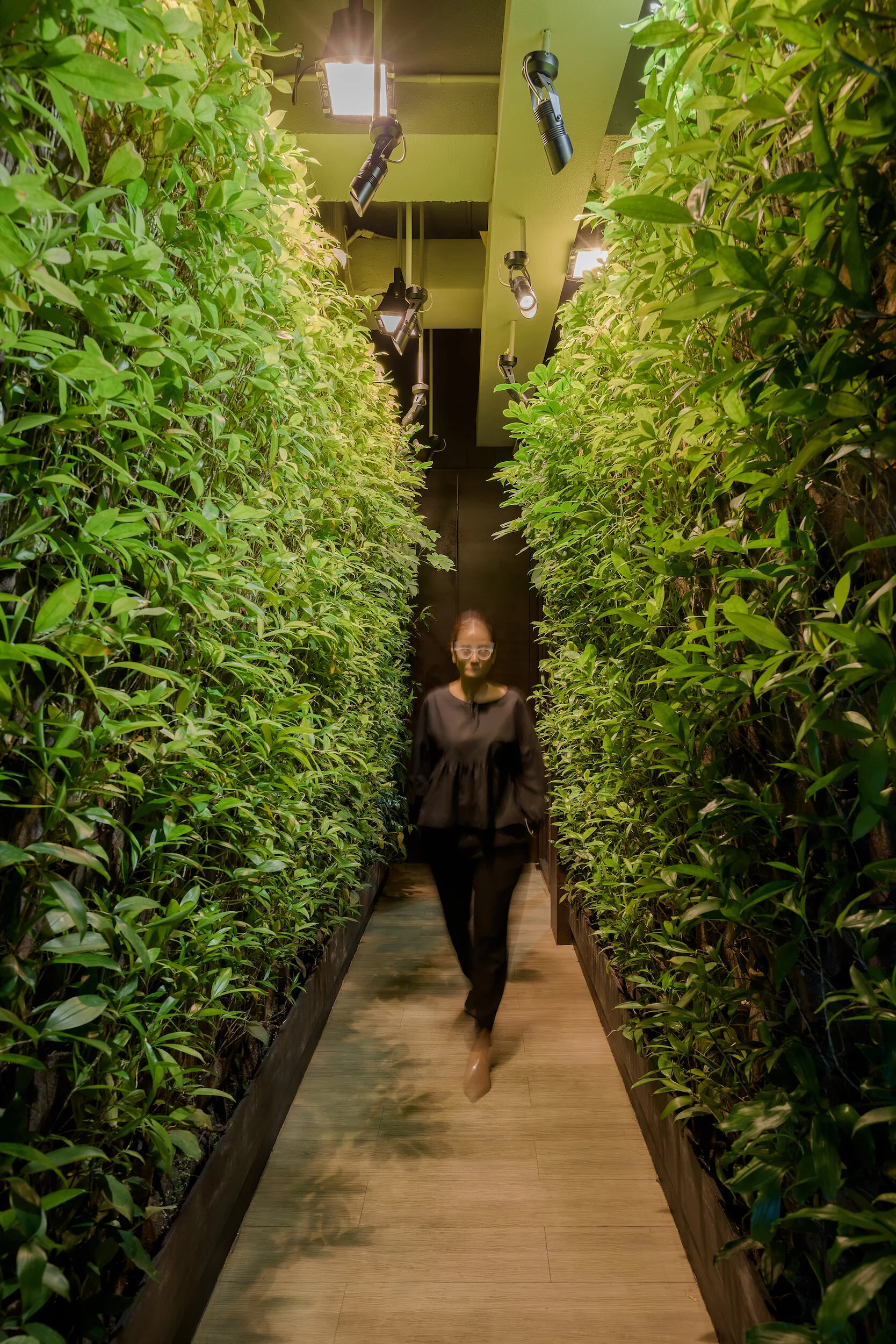 The Pipit Group Office - Website 00015.jpg