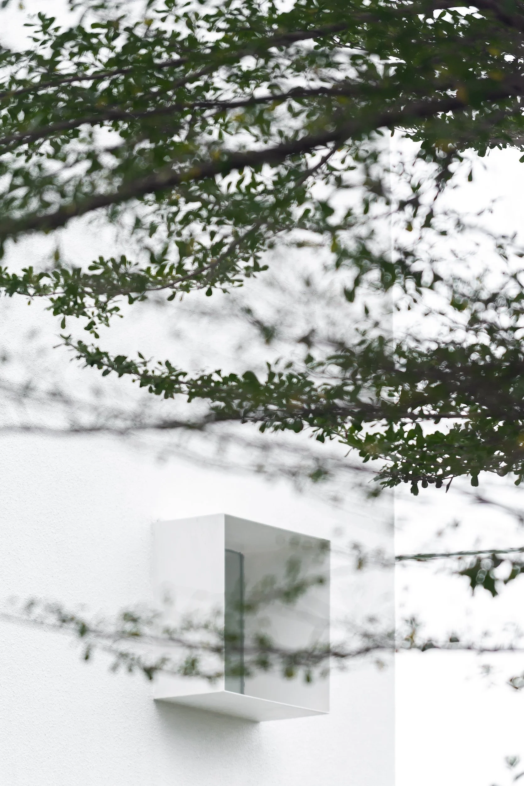 Website_Hi-Res_Alba House_9801-Edit.jpg