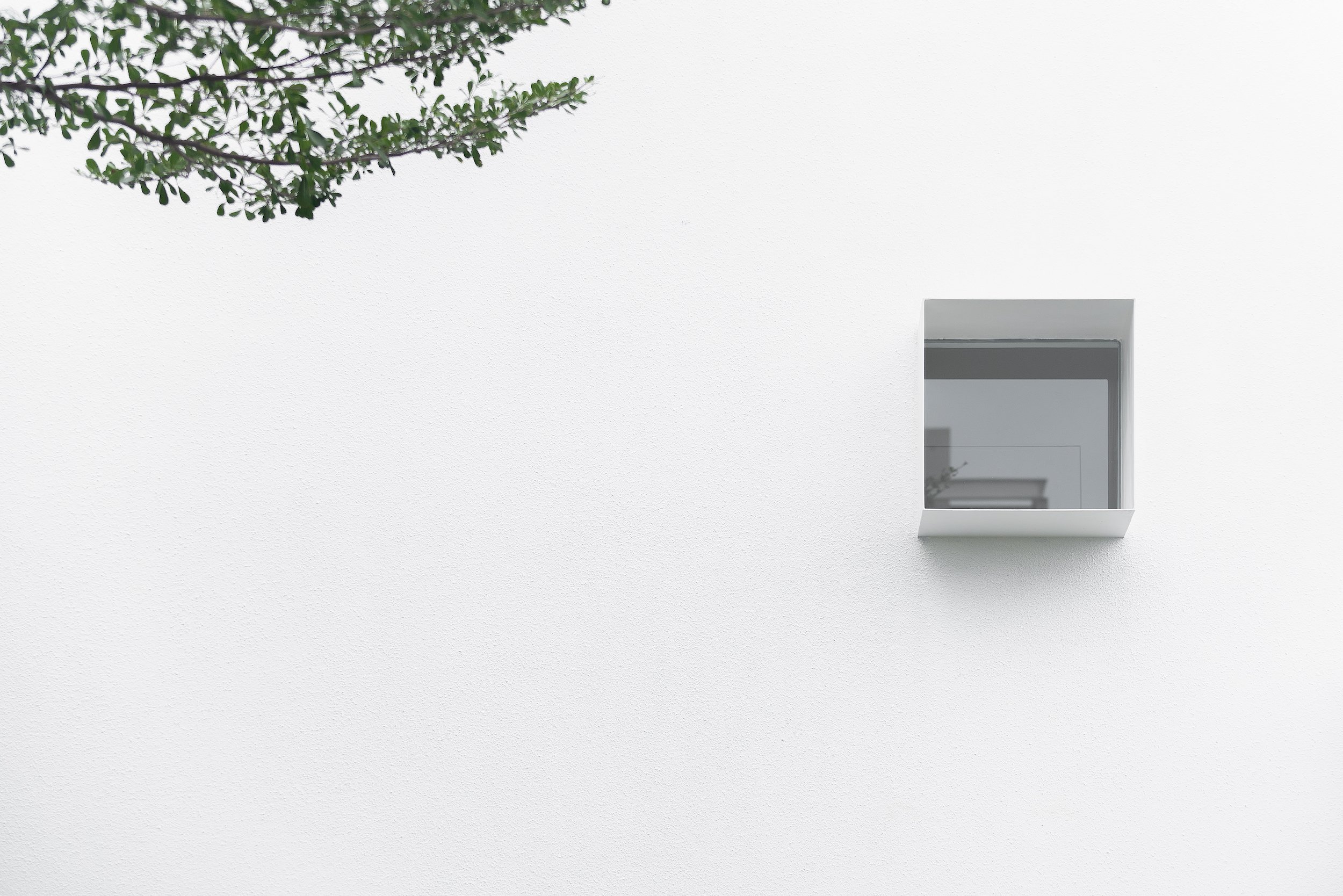 Website_Hi-Res_Alba House_9813-Edit.jpg