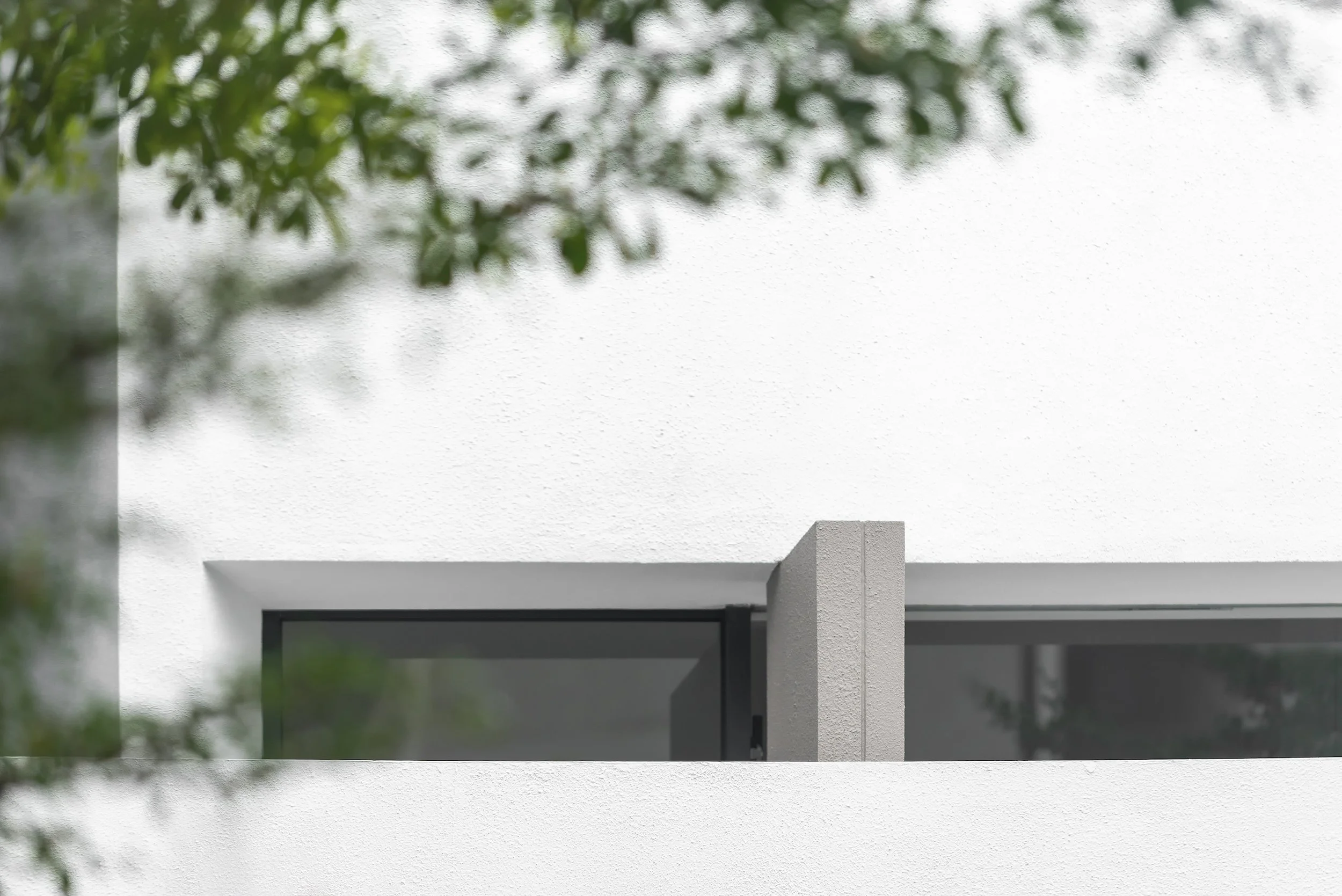 Website_Hi-Res_Alba House_9839-Edit.jpg