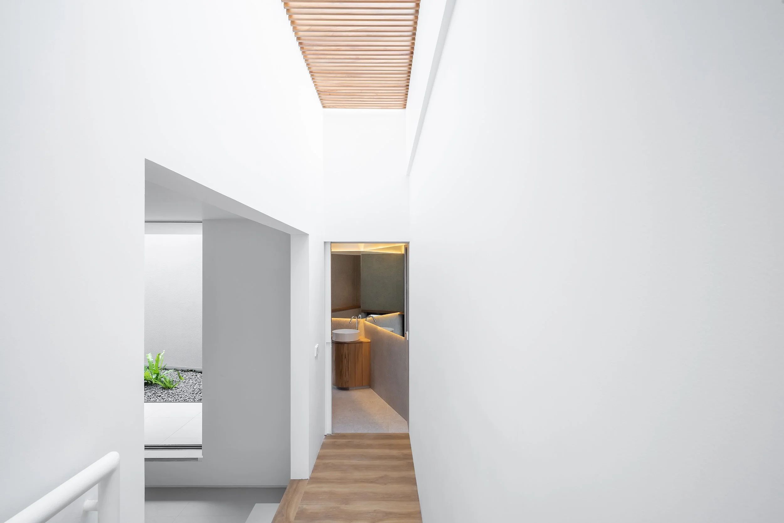 Website_Hi-Res_Alba House_9490-Edit.jpg