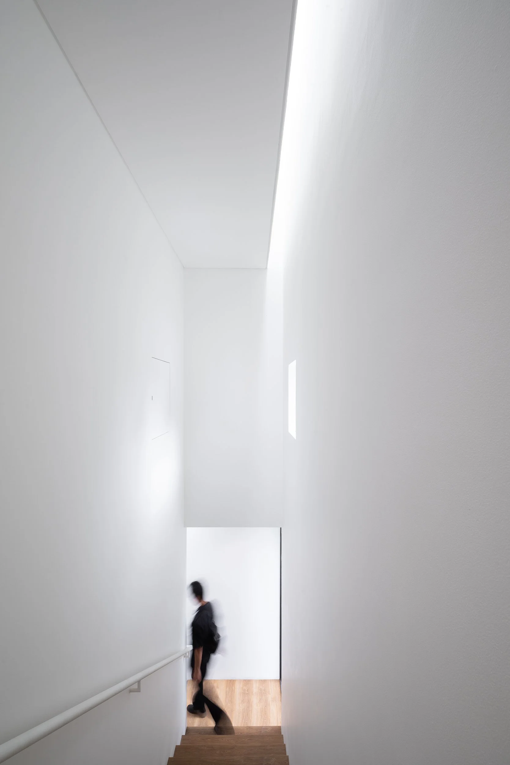 Website_Hi-Res_Alba House_9579-Edit.jpg