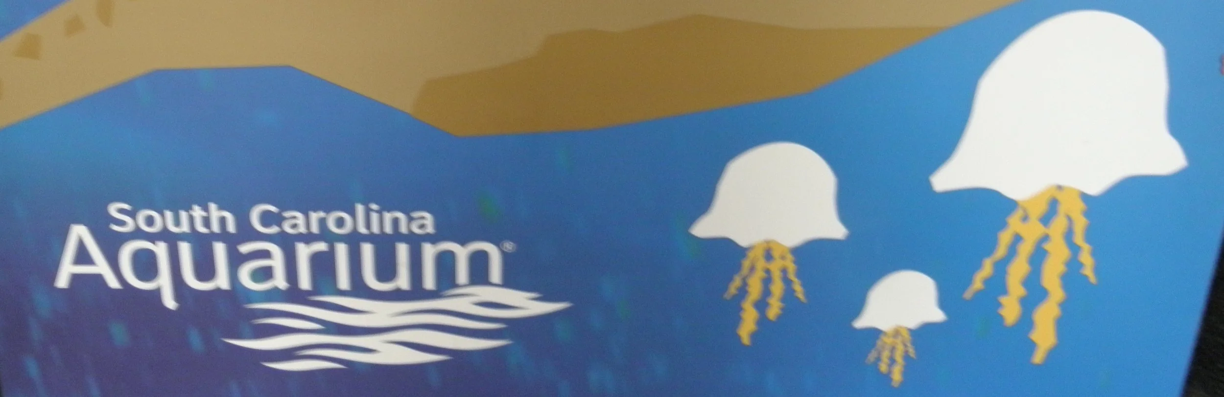 Trip to the SC Aquarium