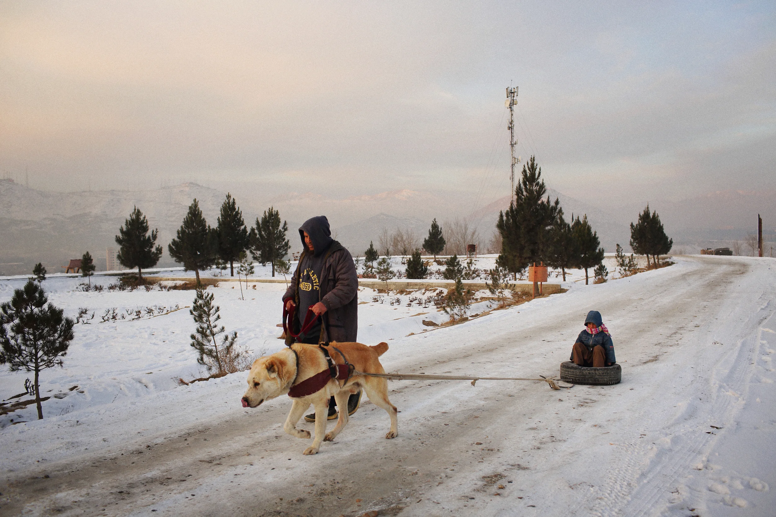 Fighting dog Diwana, ‘Crazy’, drags his master’s son for strength conditioning at dawn on Bibi Mahru Hill in central Kabul. Kabul, December 2013 