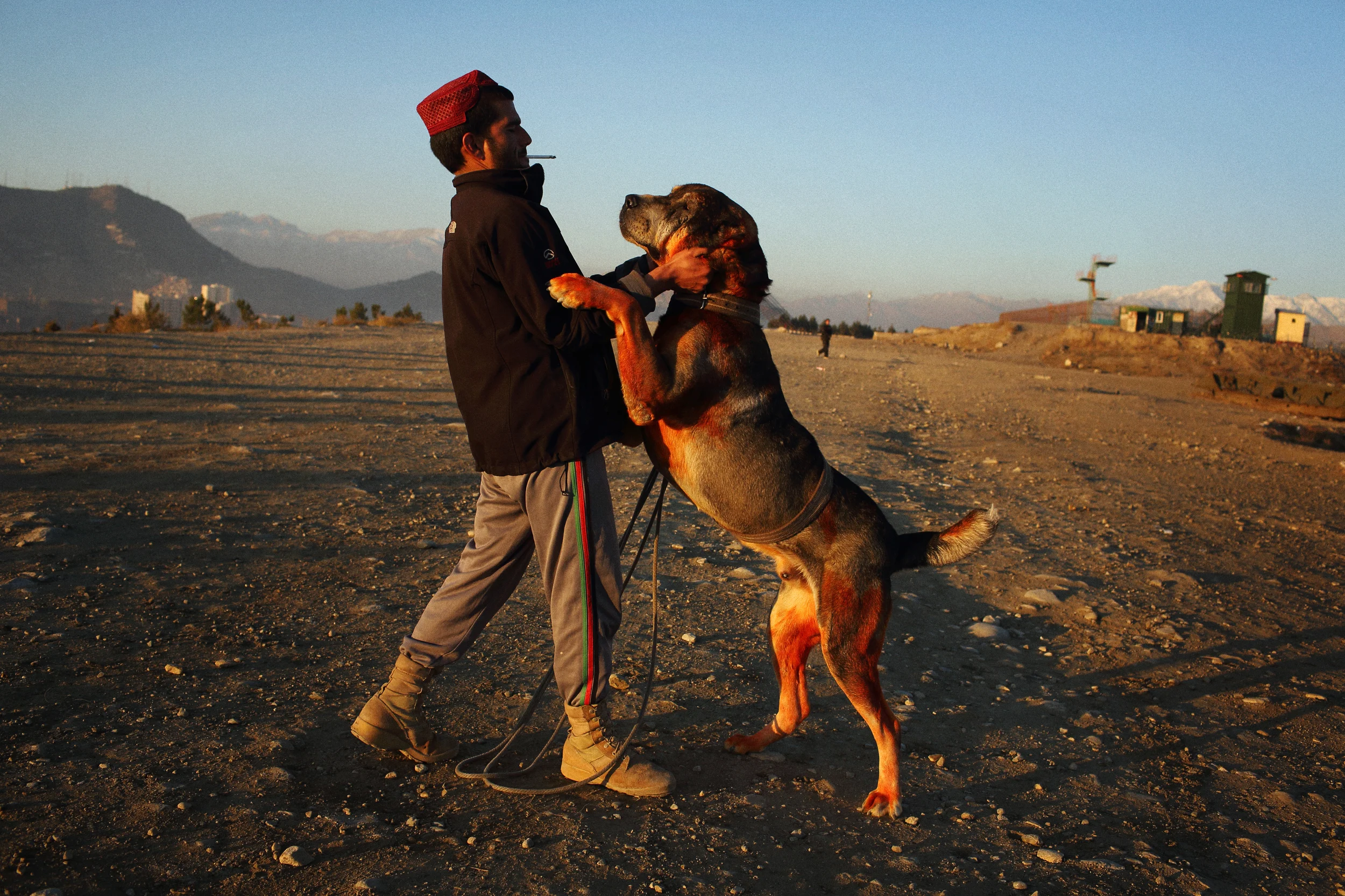  Hasan wrestles with his fighting dog at sunrise on a hilltop in Kabul. Hasan remembers being caught while watching an illicit bout of the sport during the Taliban’s reign. His punishment was to face off against a fighting dog, himself. He still limp