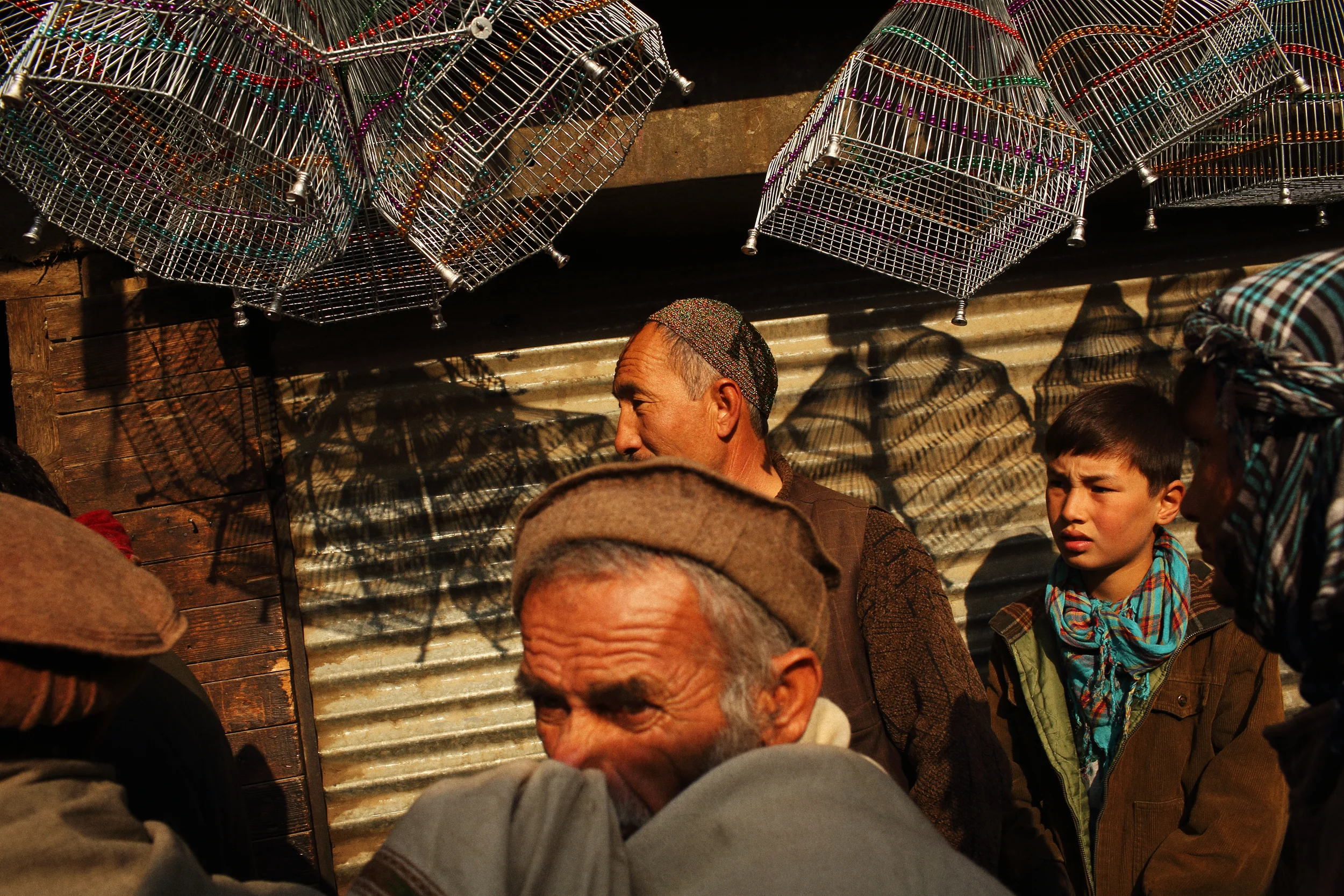 Kabul’s famous bird market, bustling on a Friday morning, the same day men typically parade and fight their birds. Kabul, December 2013 