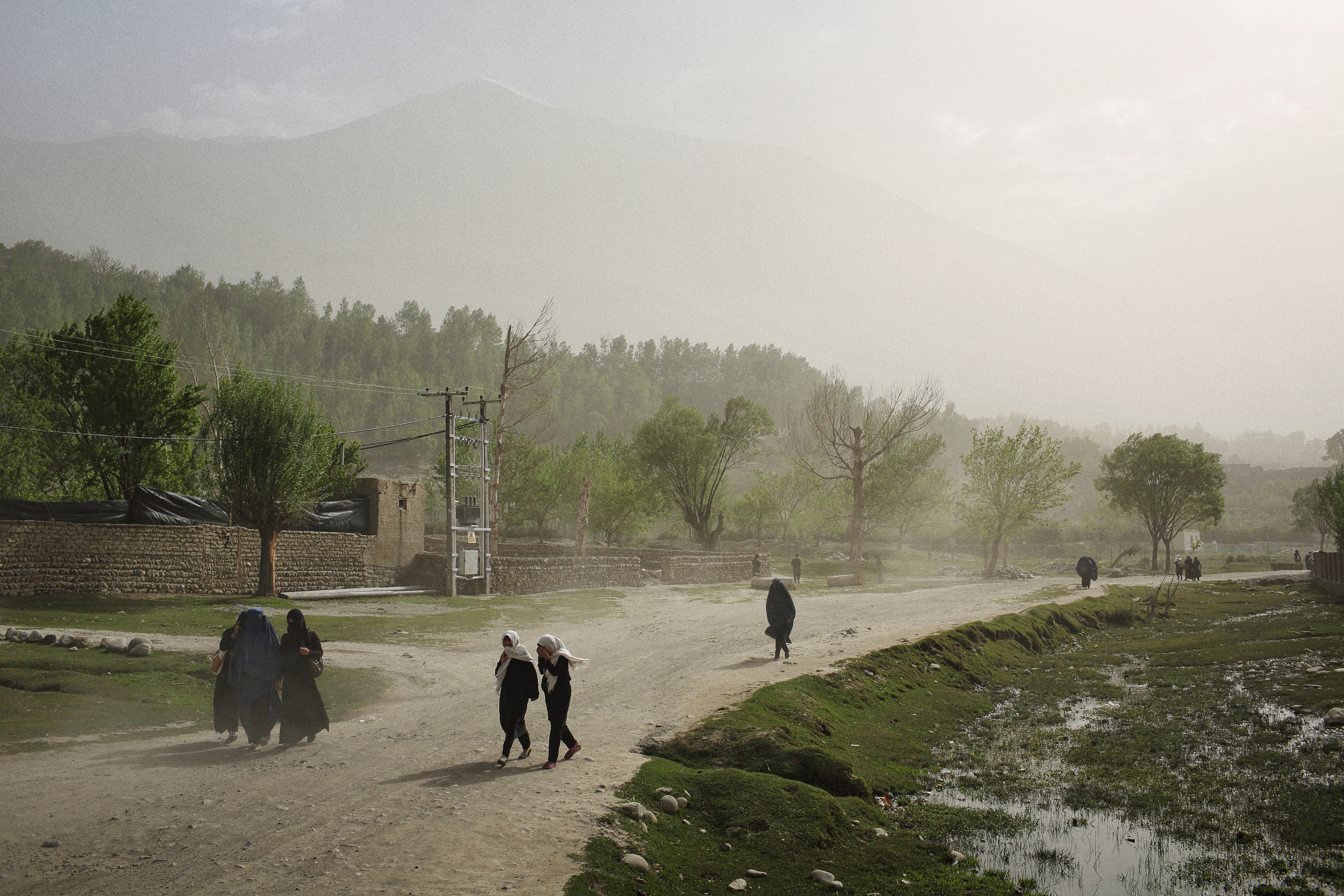  Girls walk to school on a windy morning. Takhar Province, April, 2015. 