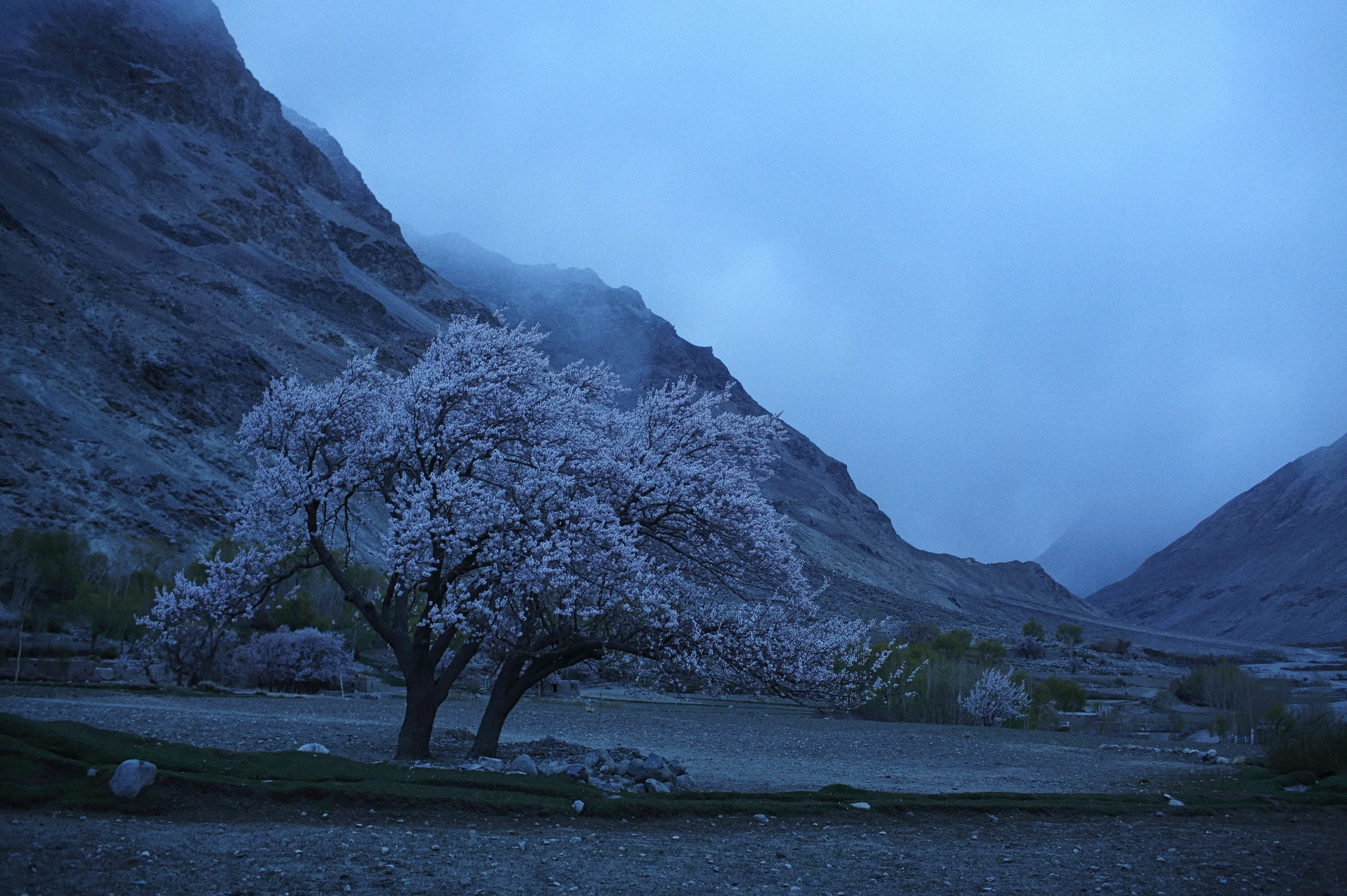  Dusk in the Wakhan Corridor. Badakhshan Province, April, 2015. 