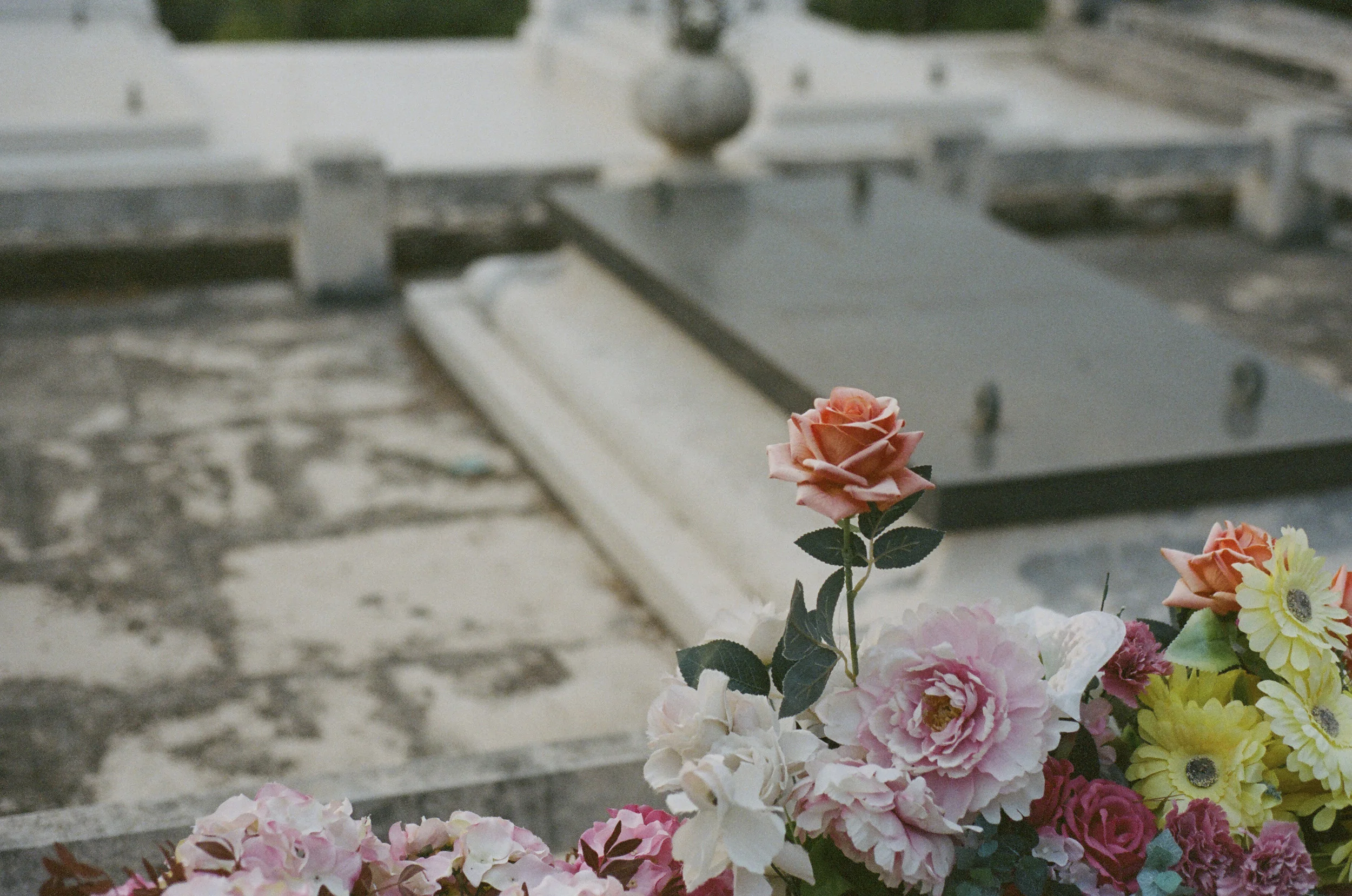 89820015.JPG