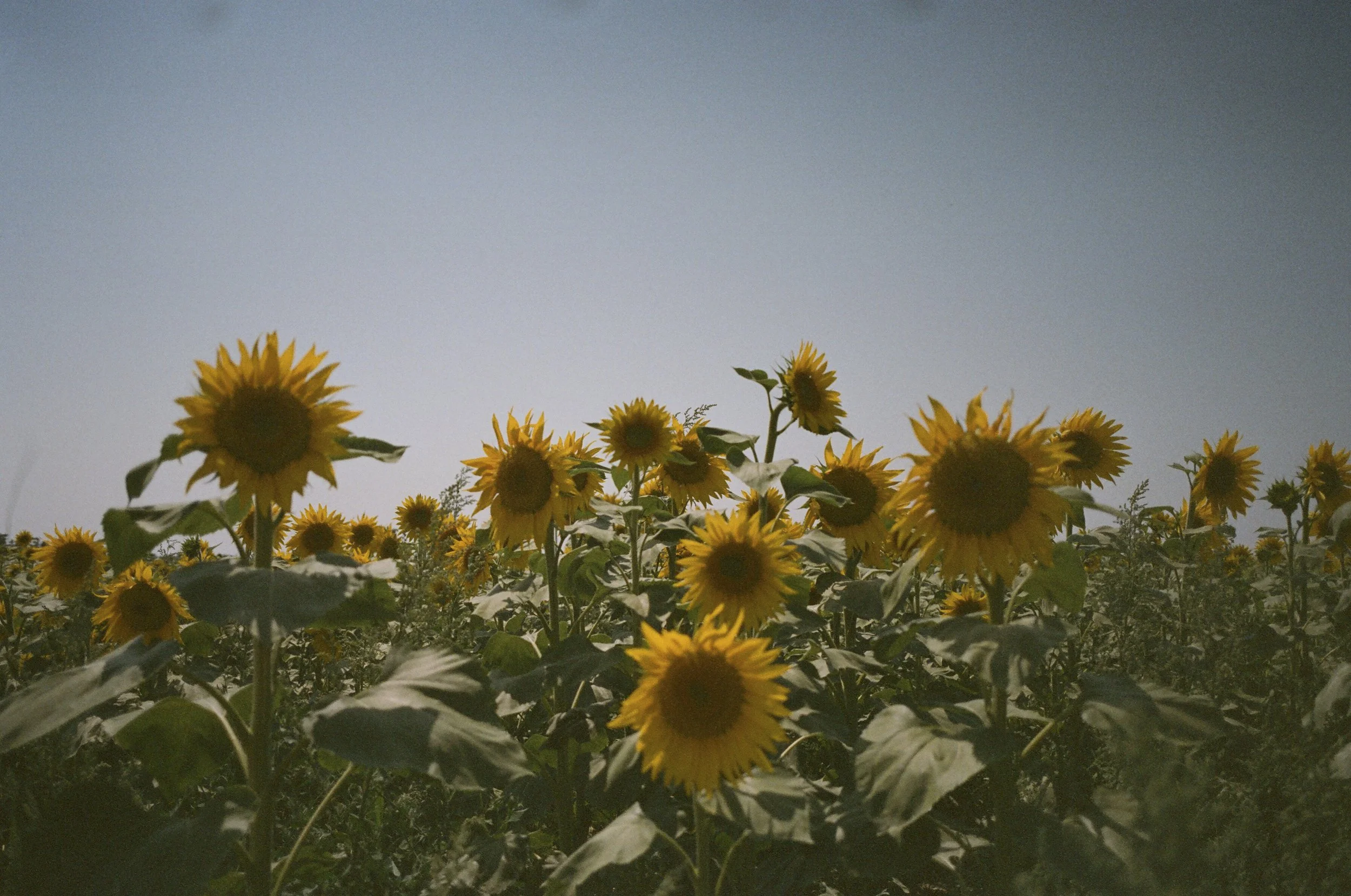 67800031.JPG