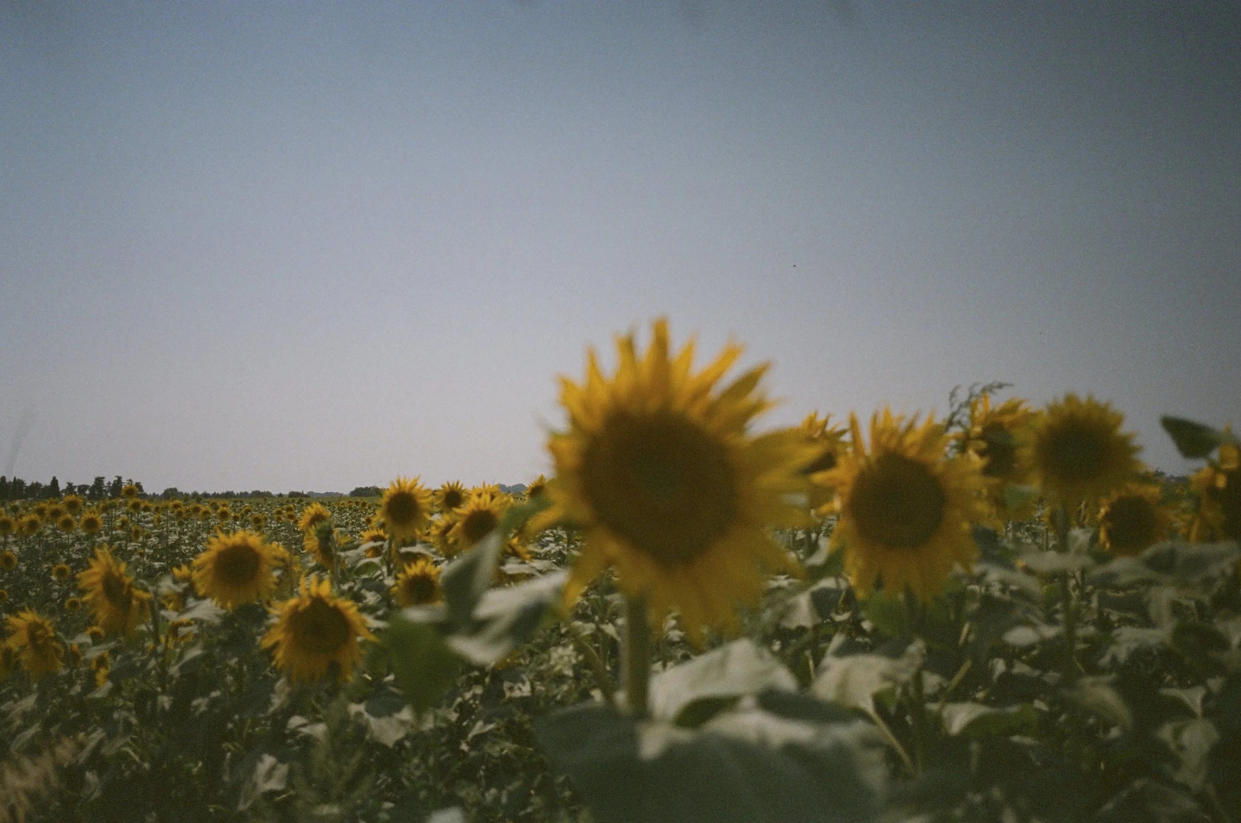 67800030.JPG