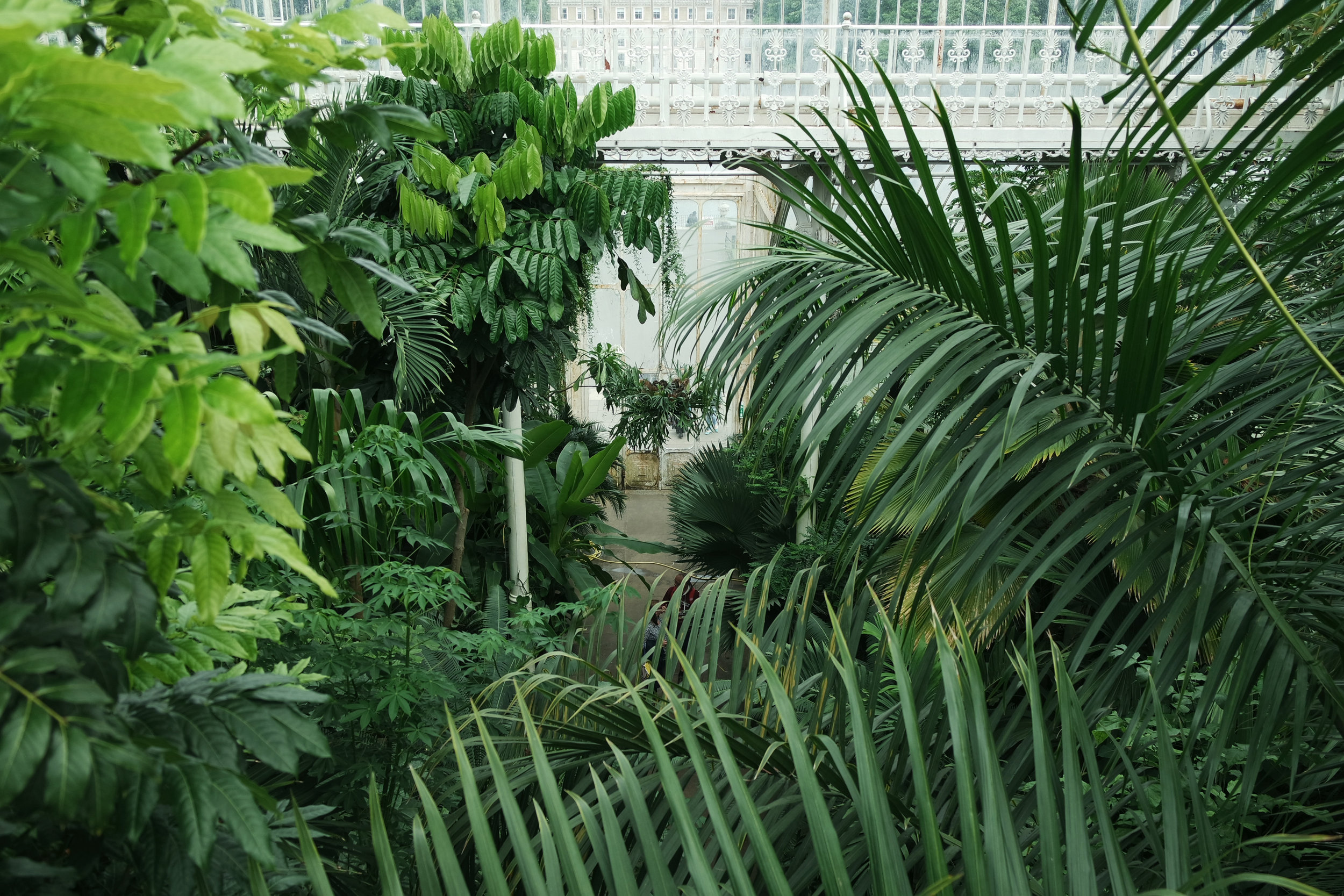 Kew-Gardens-48.jpg