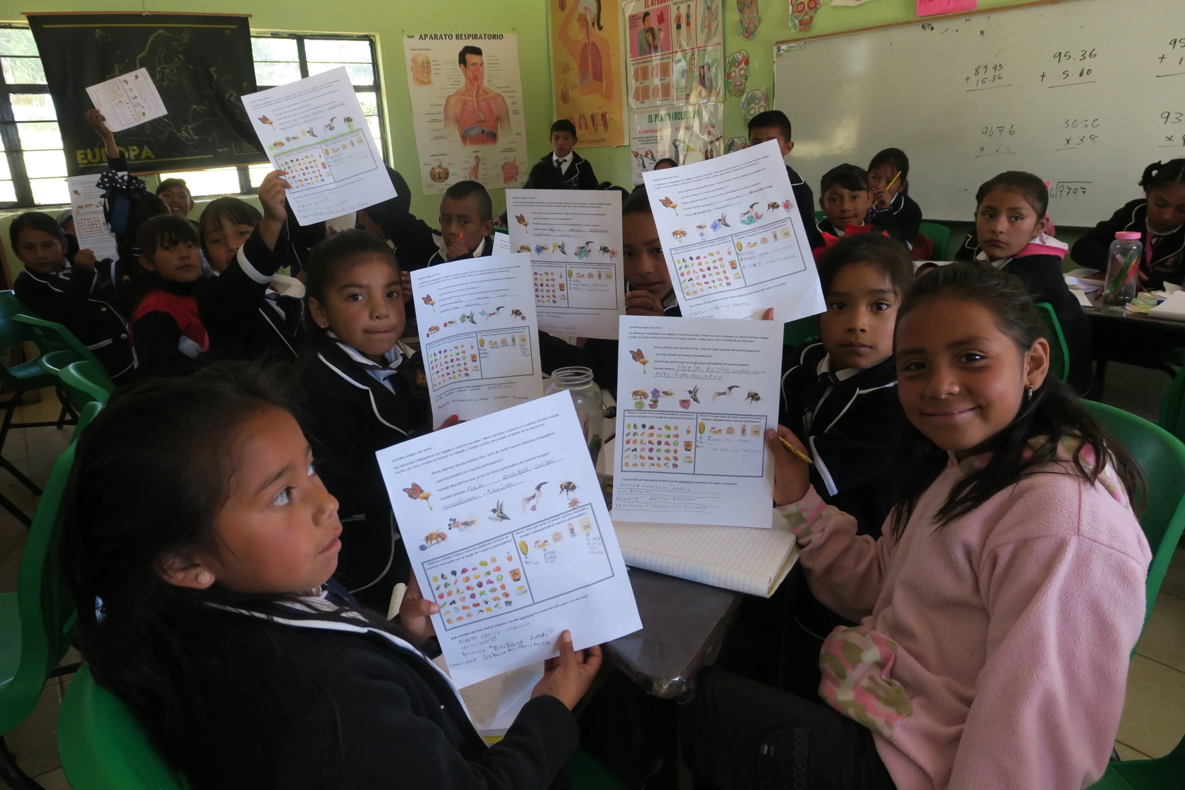 "Emiliano Zapata", Elementary