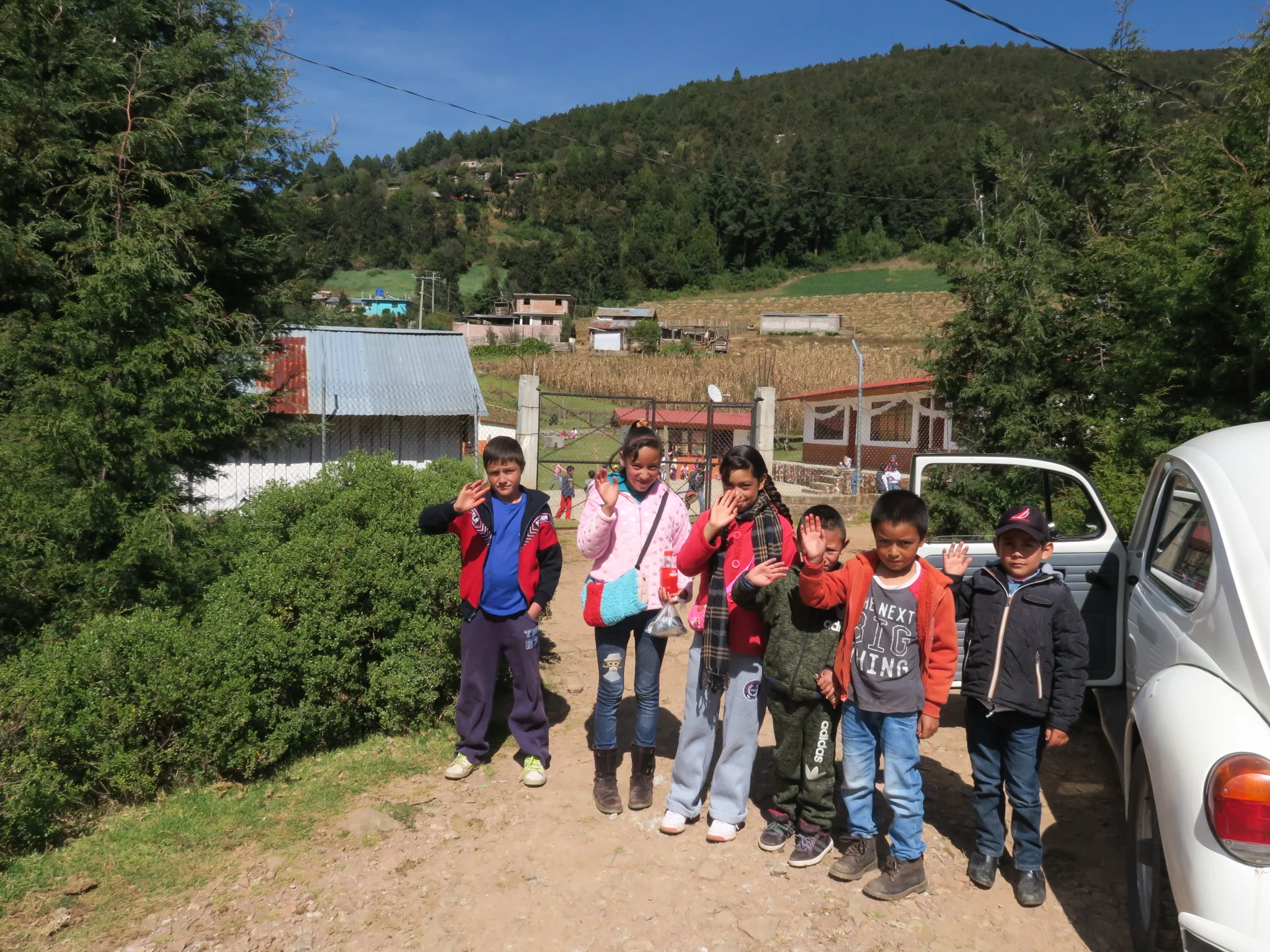 "Tierra y Libertad", Elementary