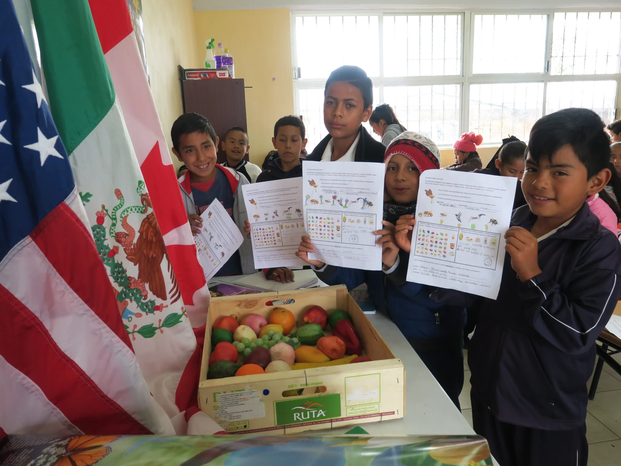 "Presidente Calles", Elementary