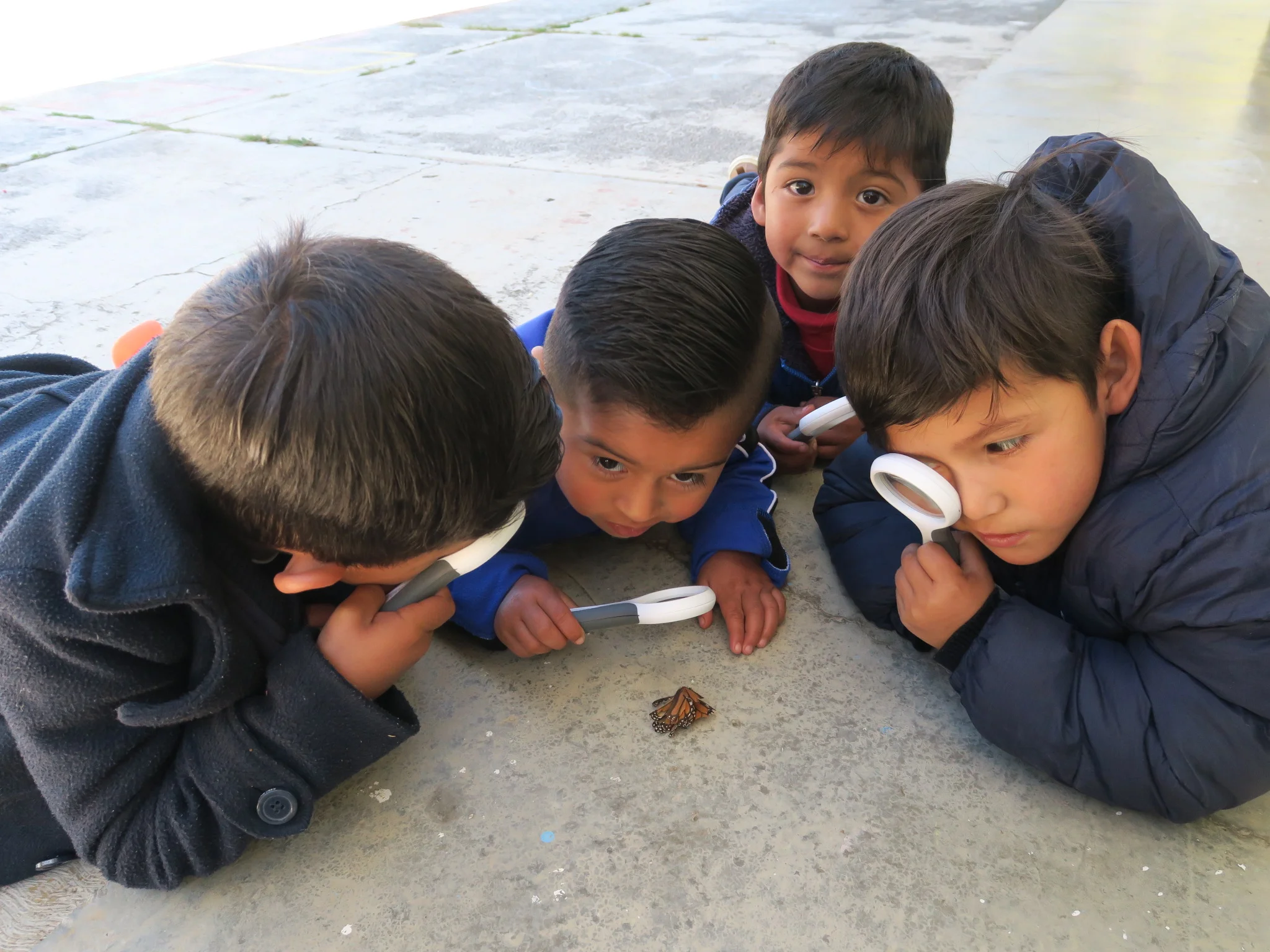 "La Monarca" kindergarten