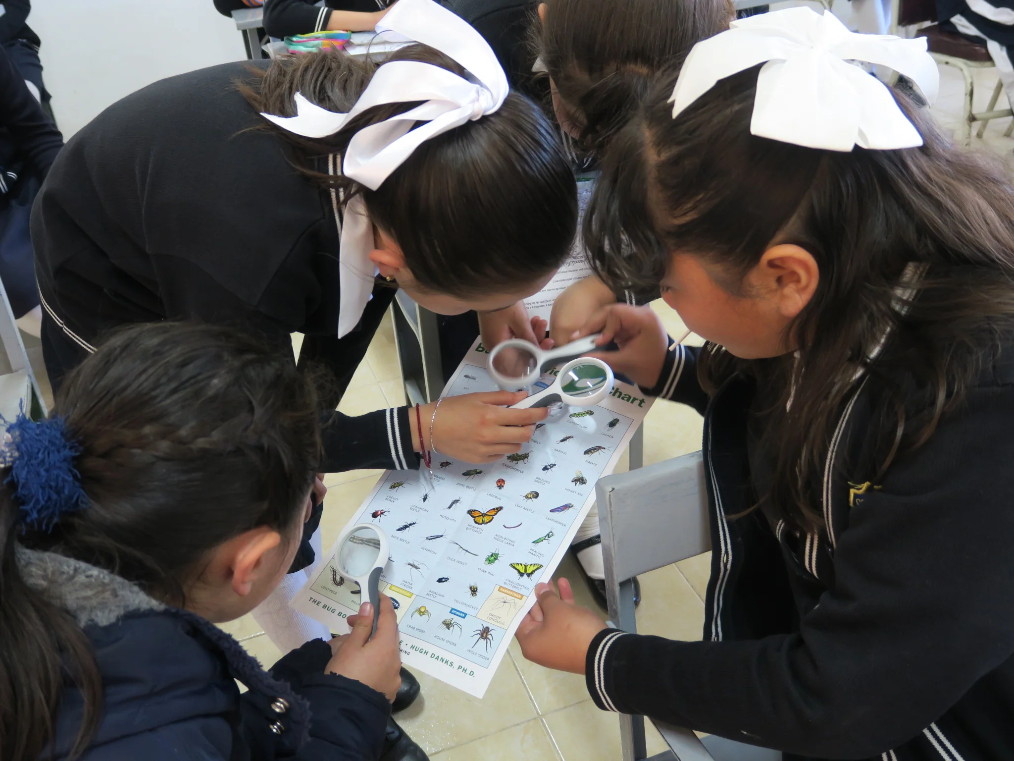 "Colegio Corregidora" private elementary
