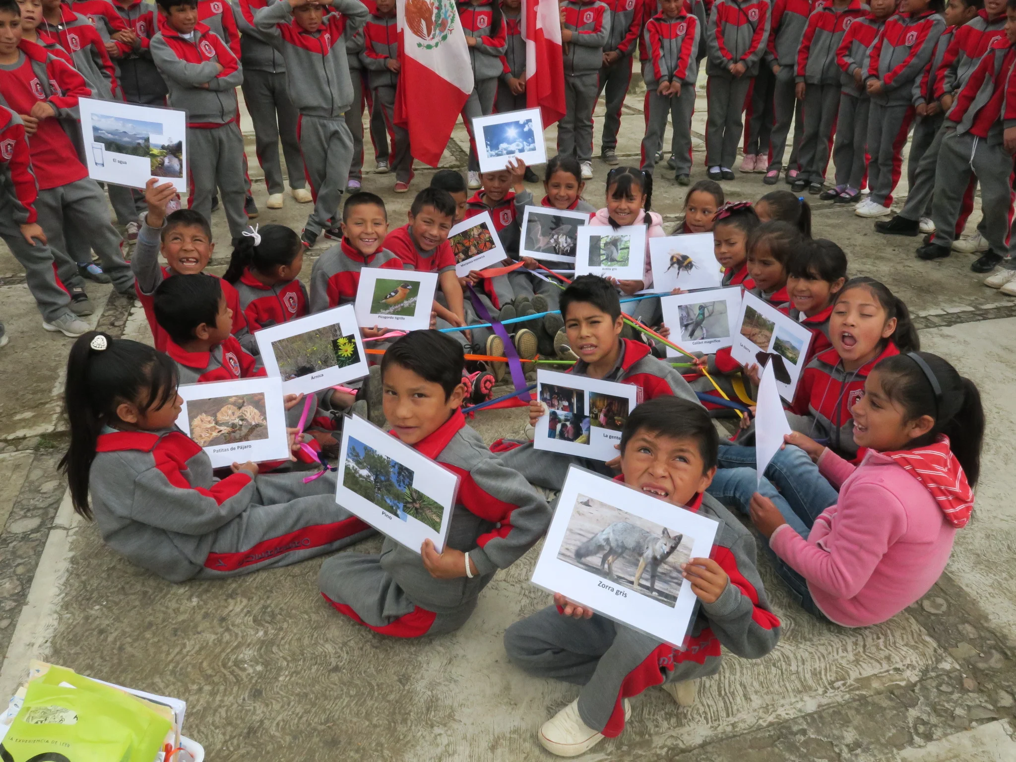 "Vicente Guerrero" elementary