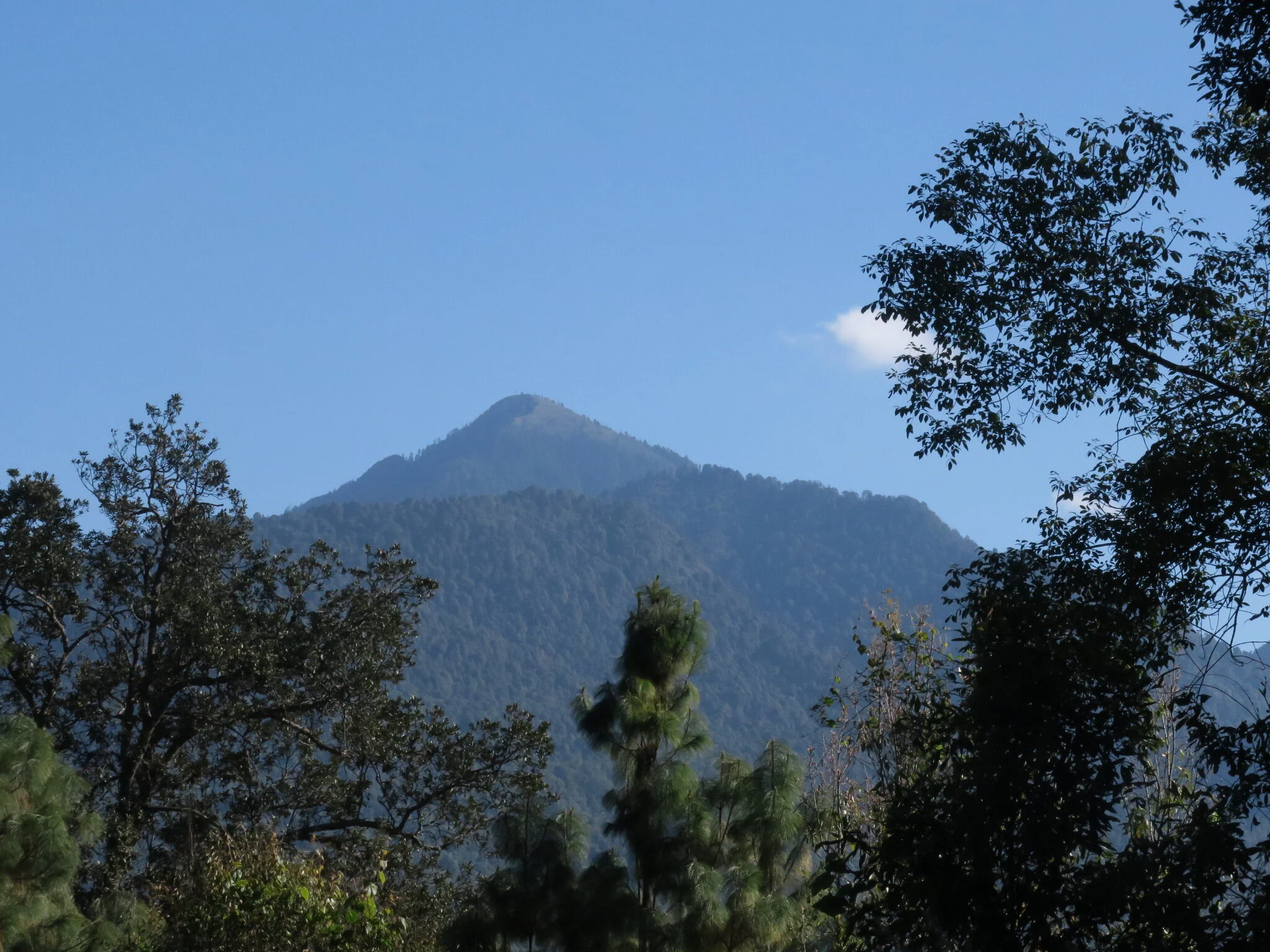 More of "Cerro Pelón"
