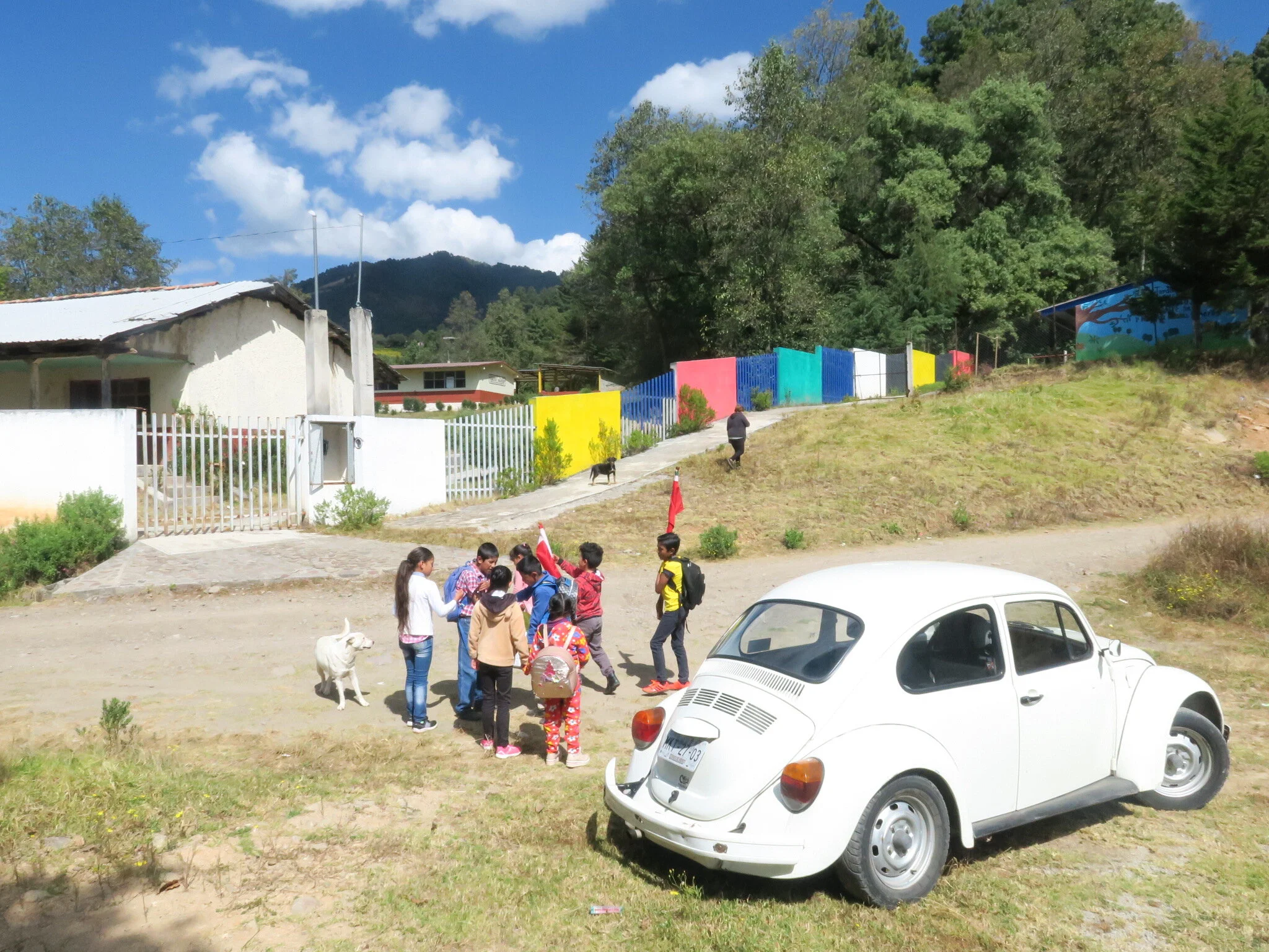 Front hill-sides to "Sierra Chincua"