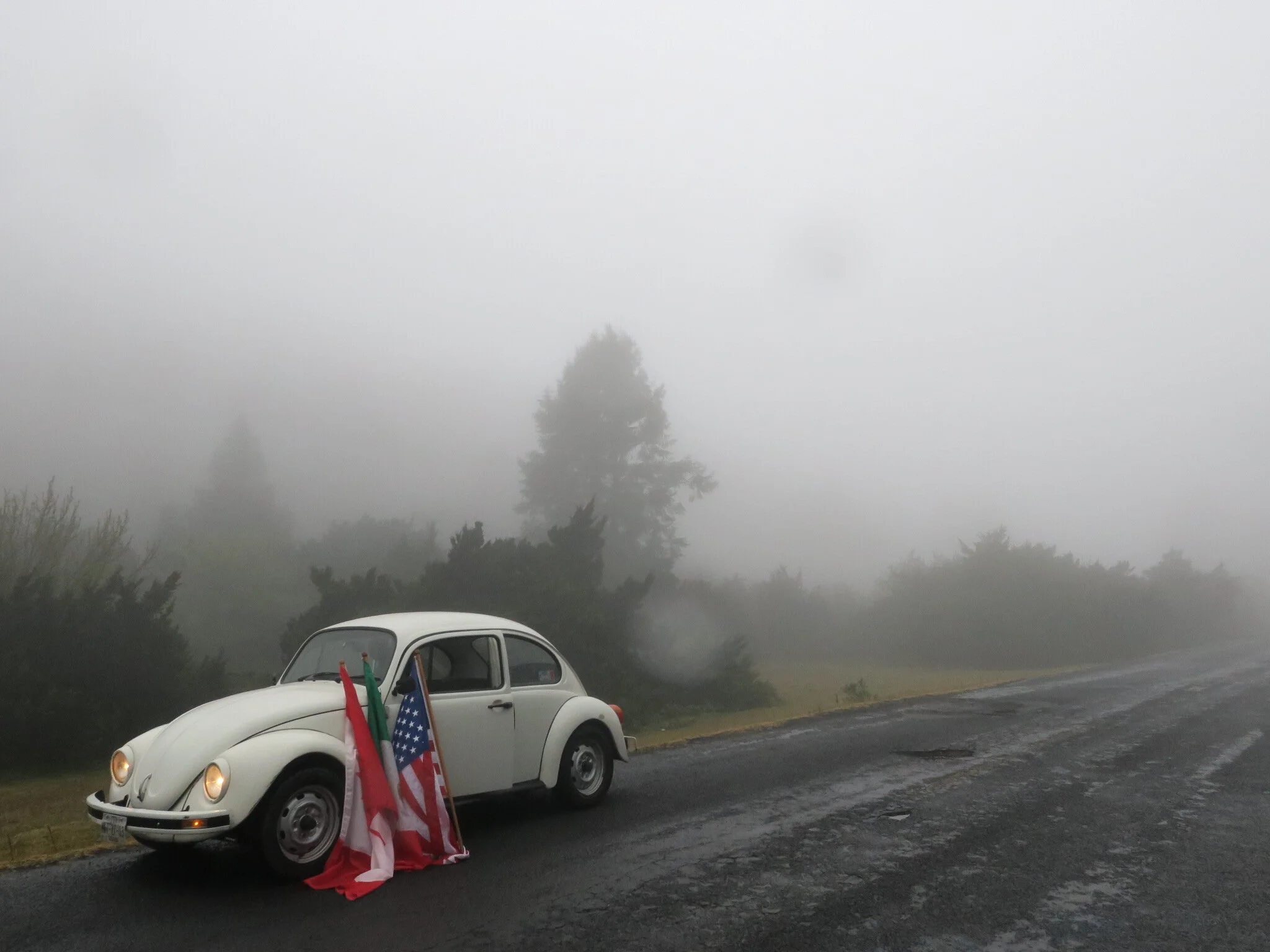 "Tierra y Libertad"