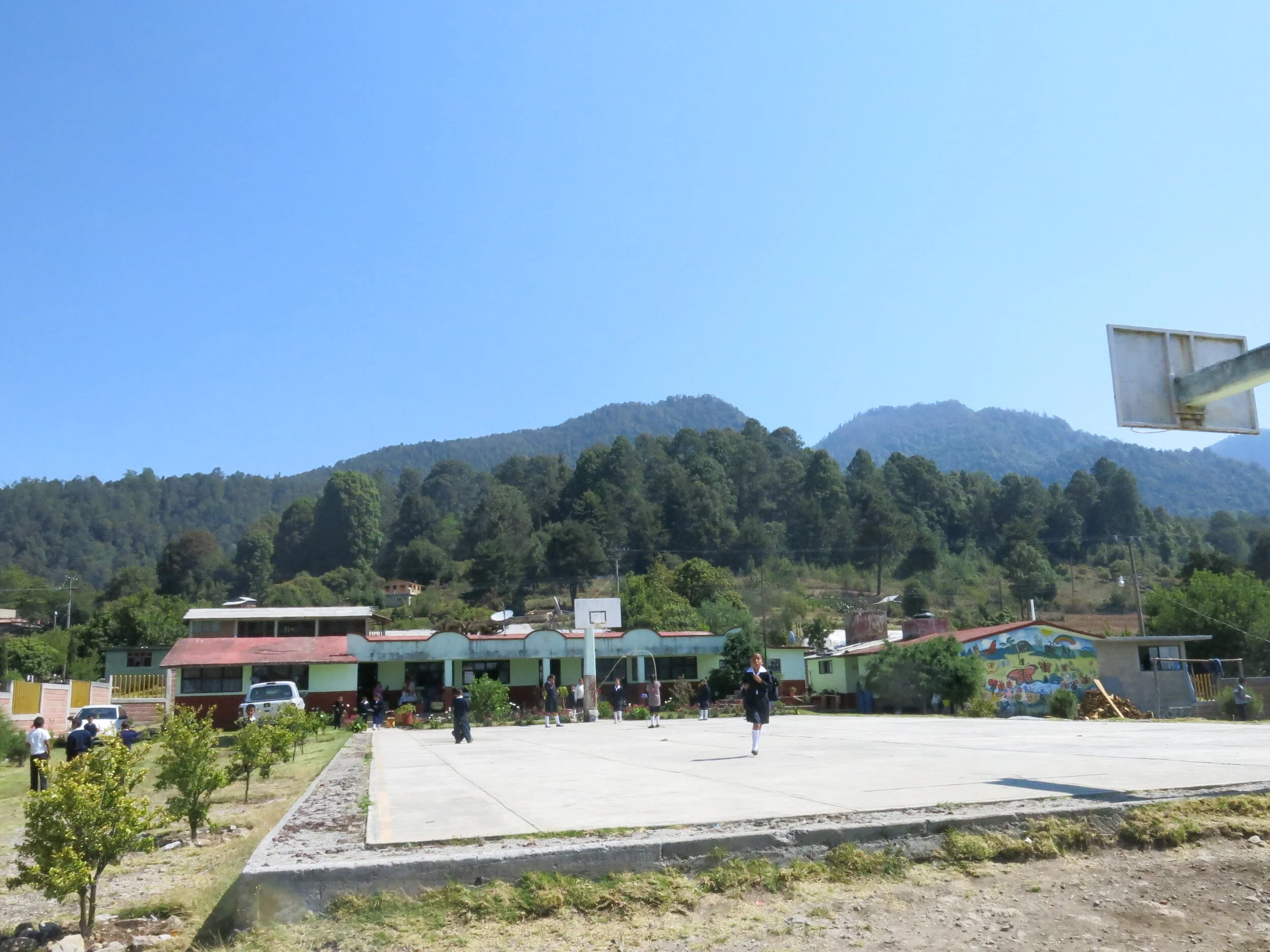 IMG_0001.JPG