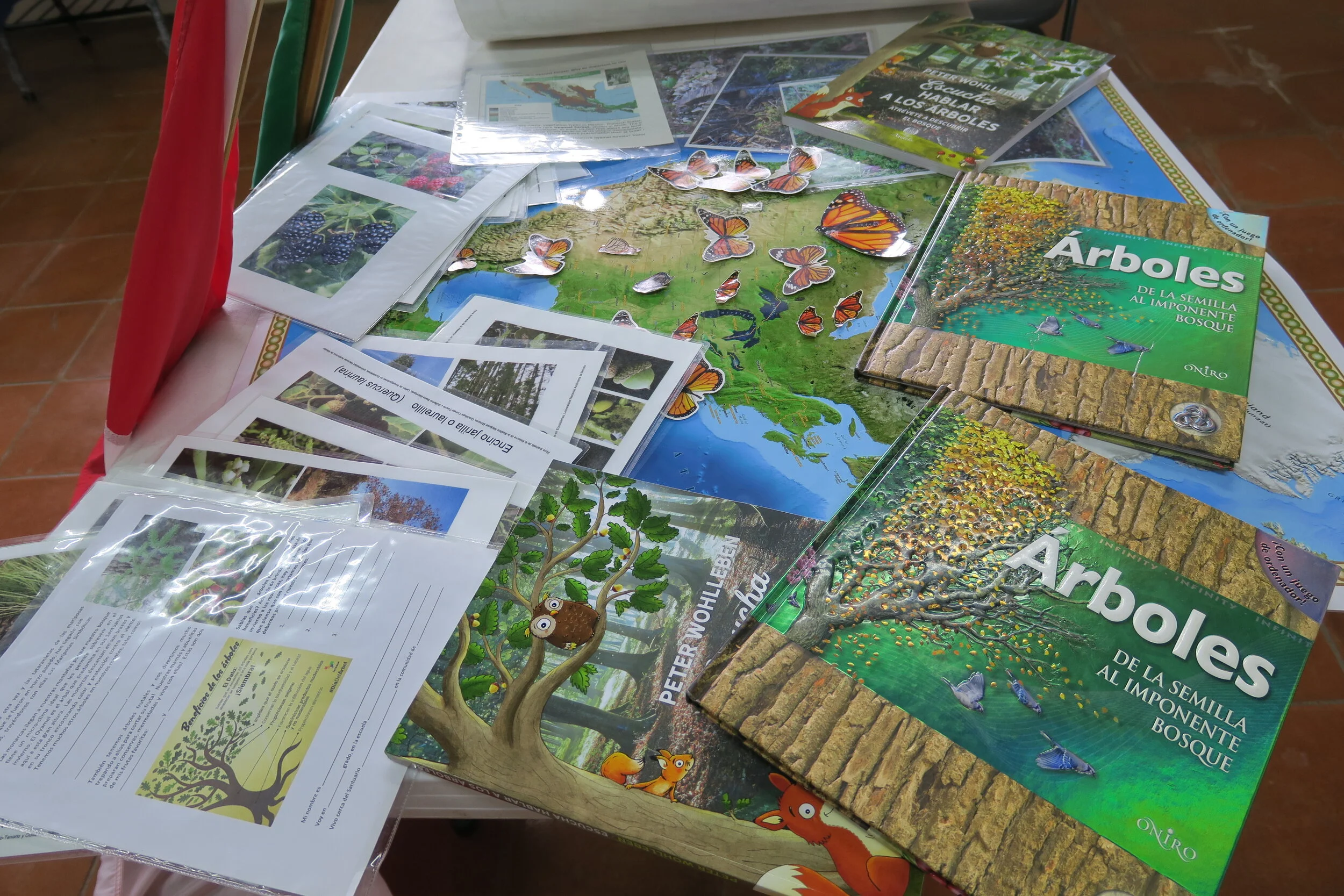 Trees, the response to habitat conservation
