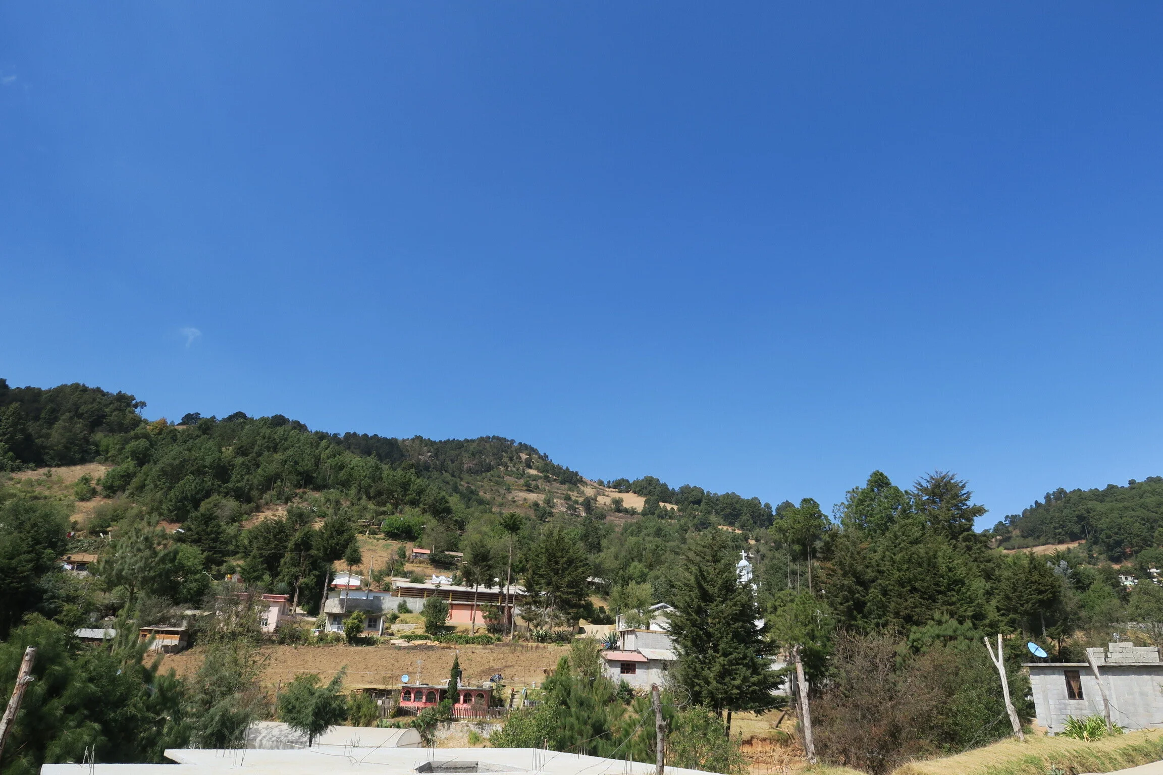 IMG_3490.JPG