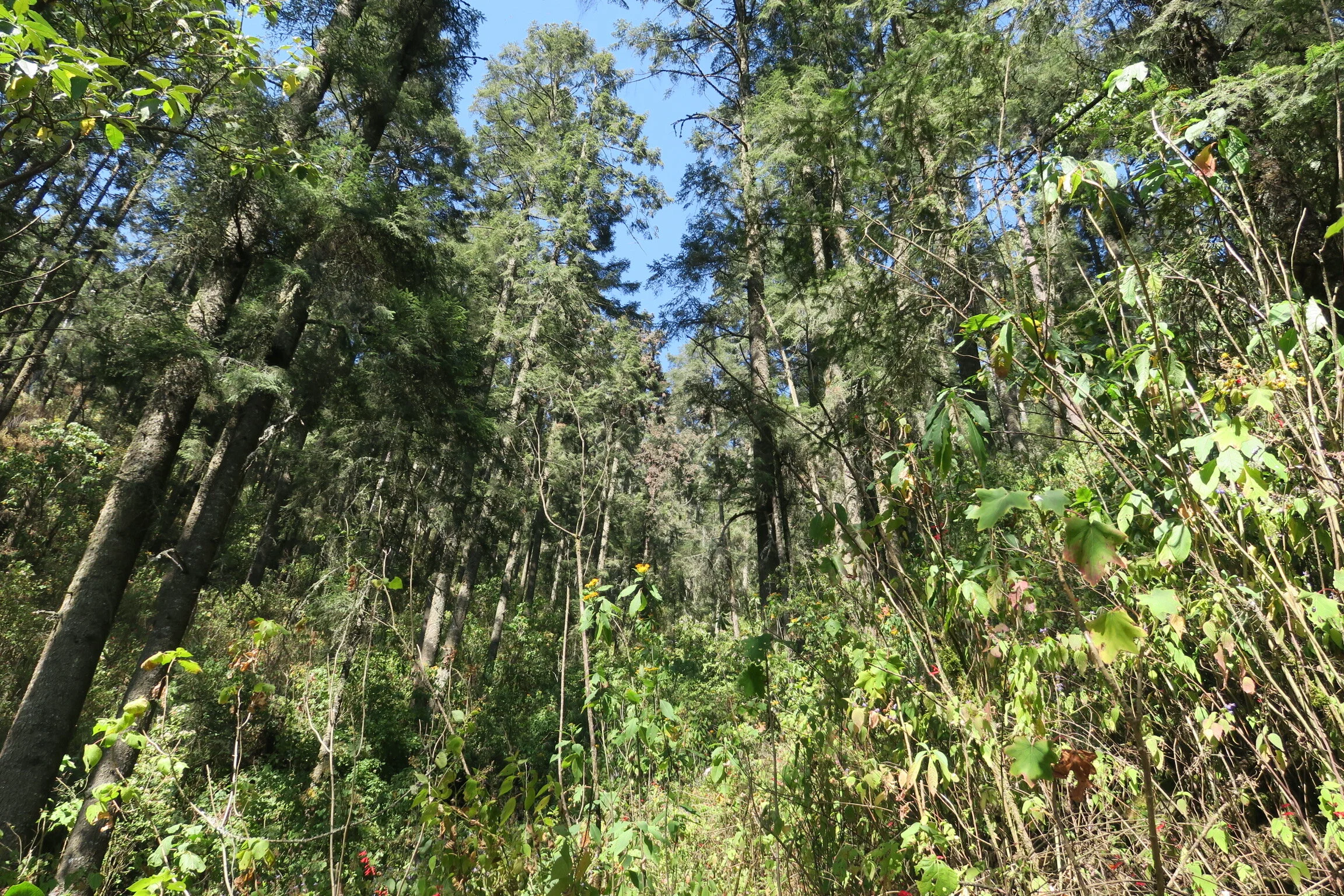 IMG_3942.JPG