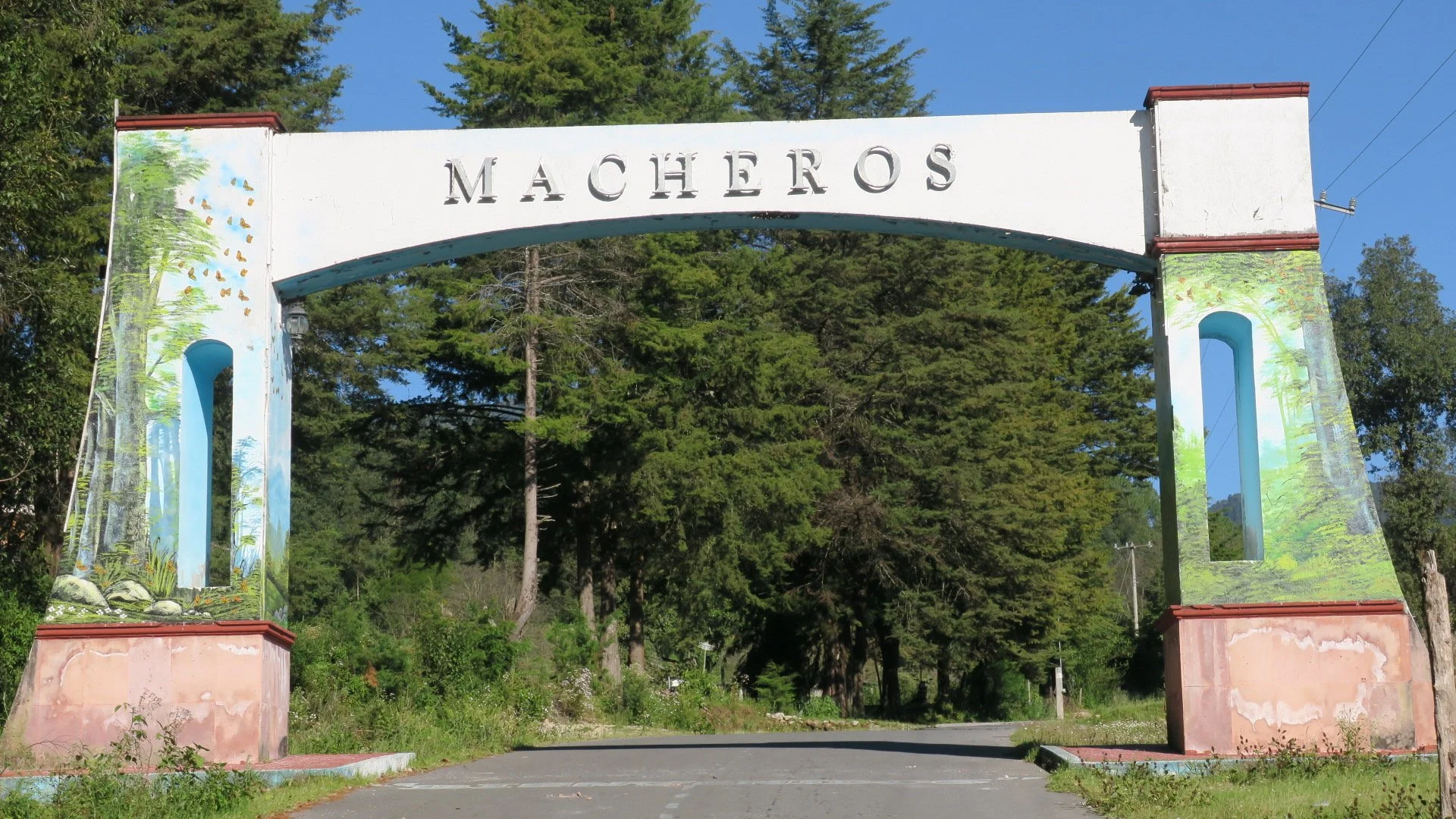 Monarchs breed somewhere in México! 