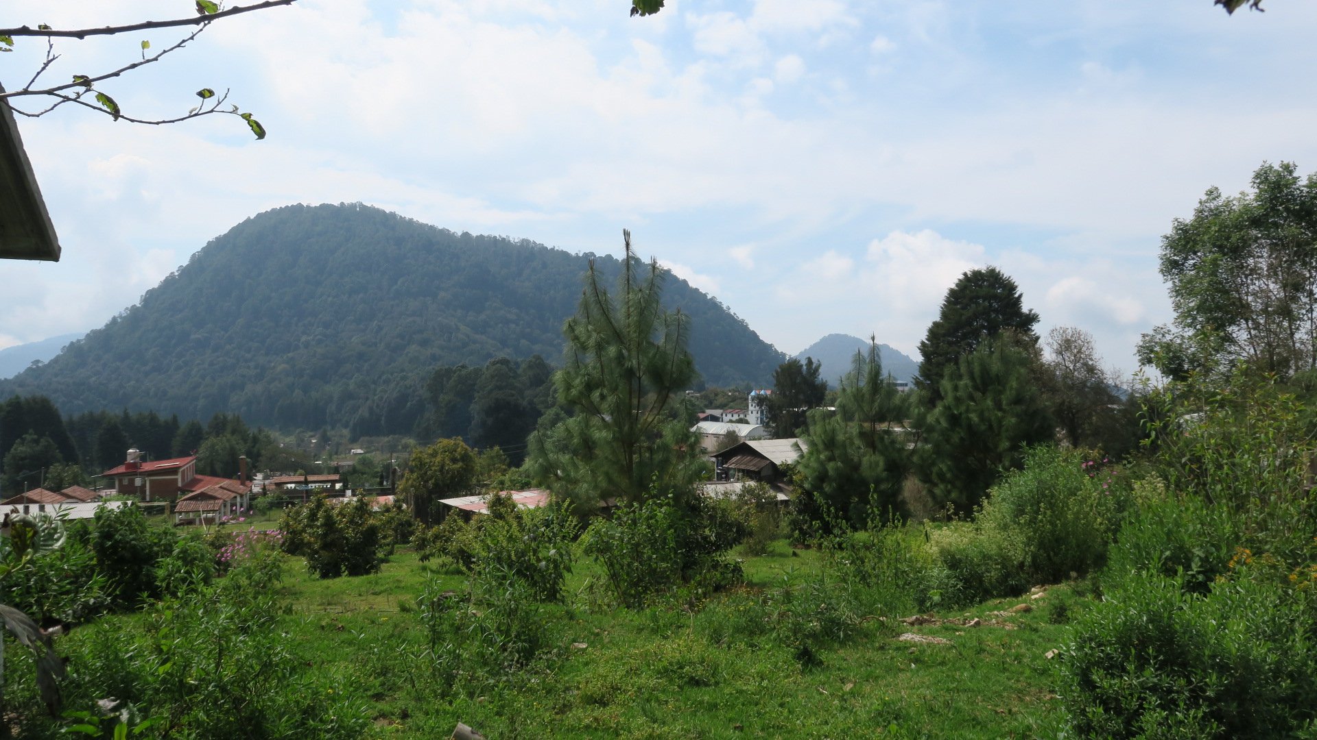 IMG_5730.JPG