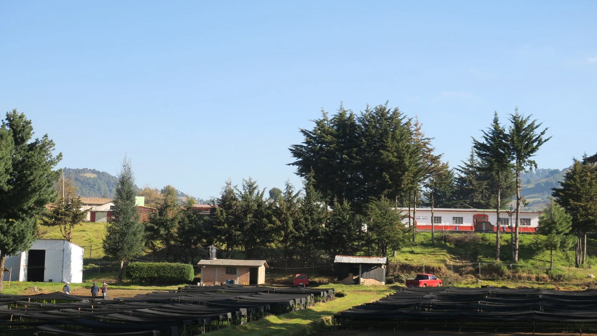 IMG_6346.JPG