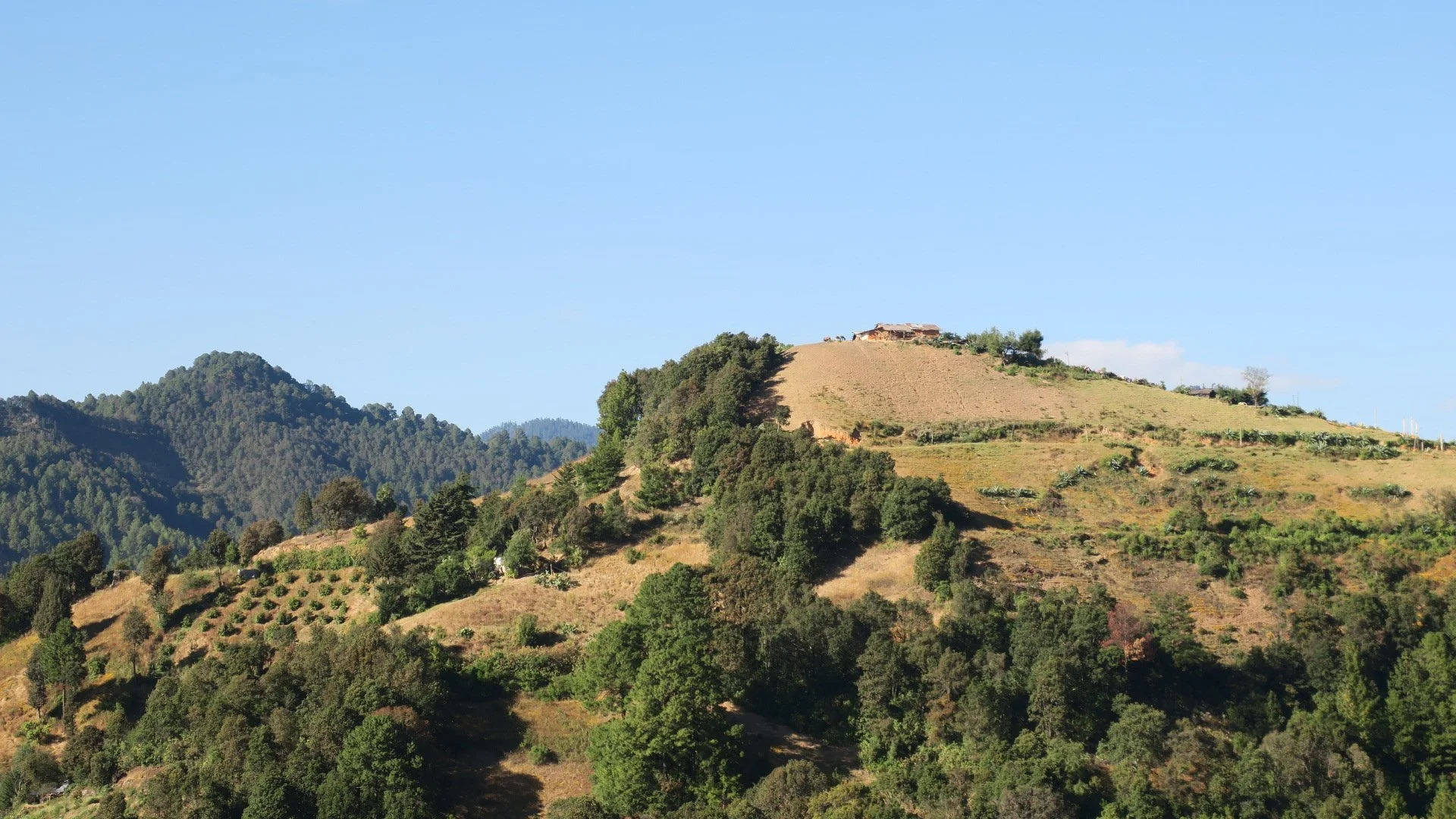 LIVING IN VERY HIGH AND STEEP MOUNTAINS