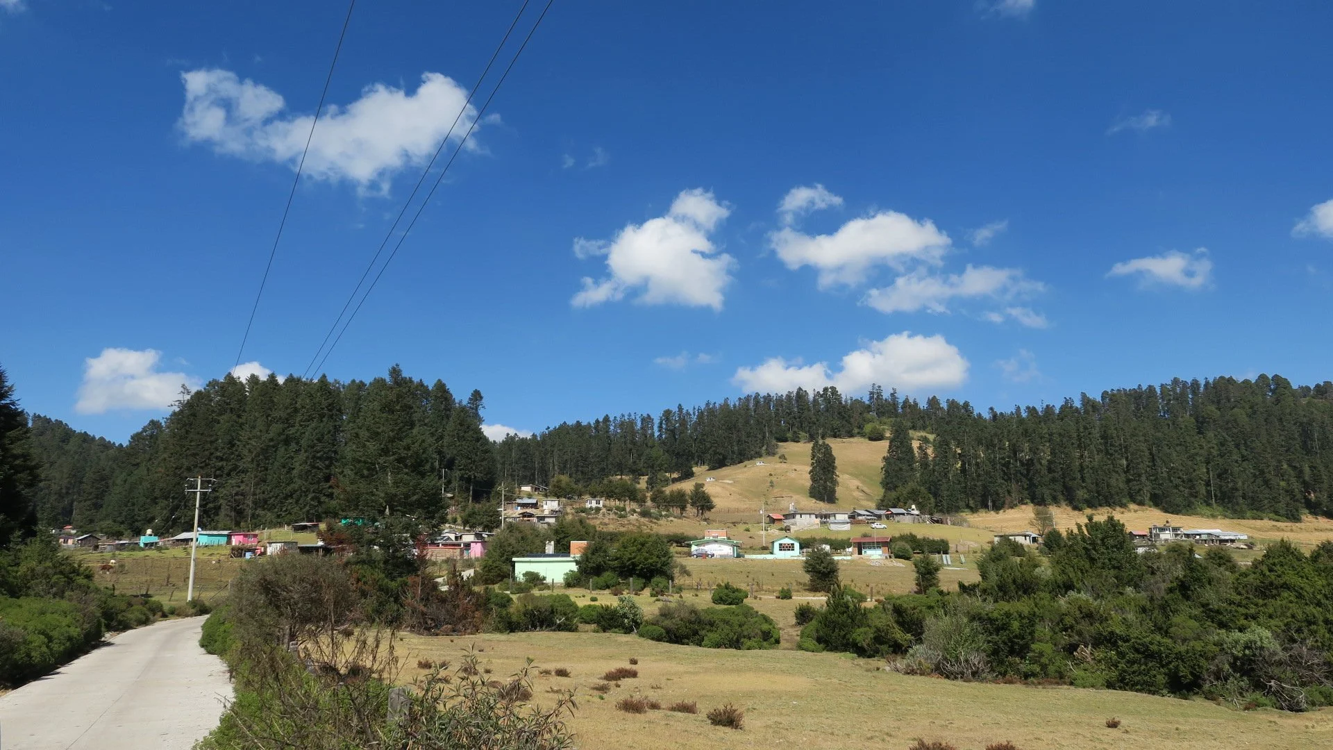 IMG_7732.JPG