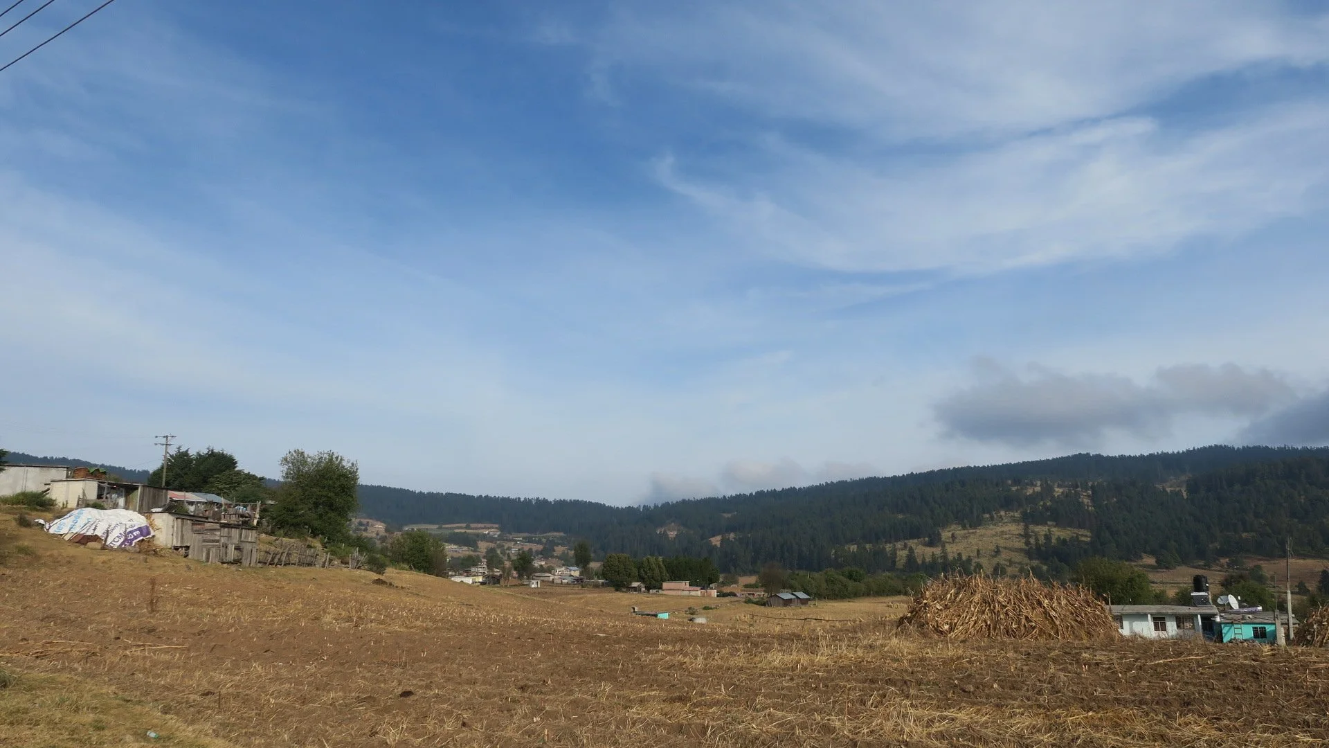 Beginning the  Year Driving across Monarchs' Forests!