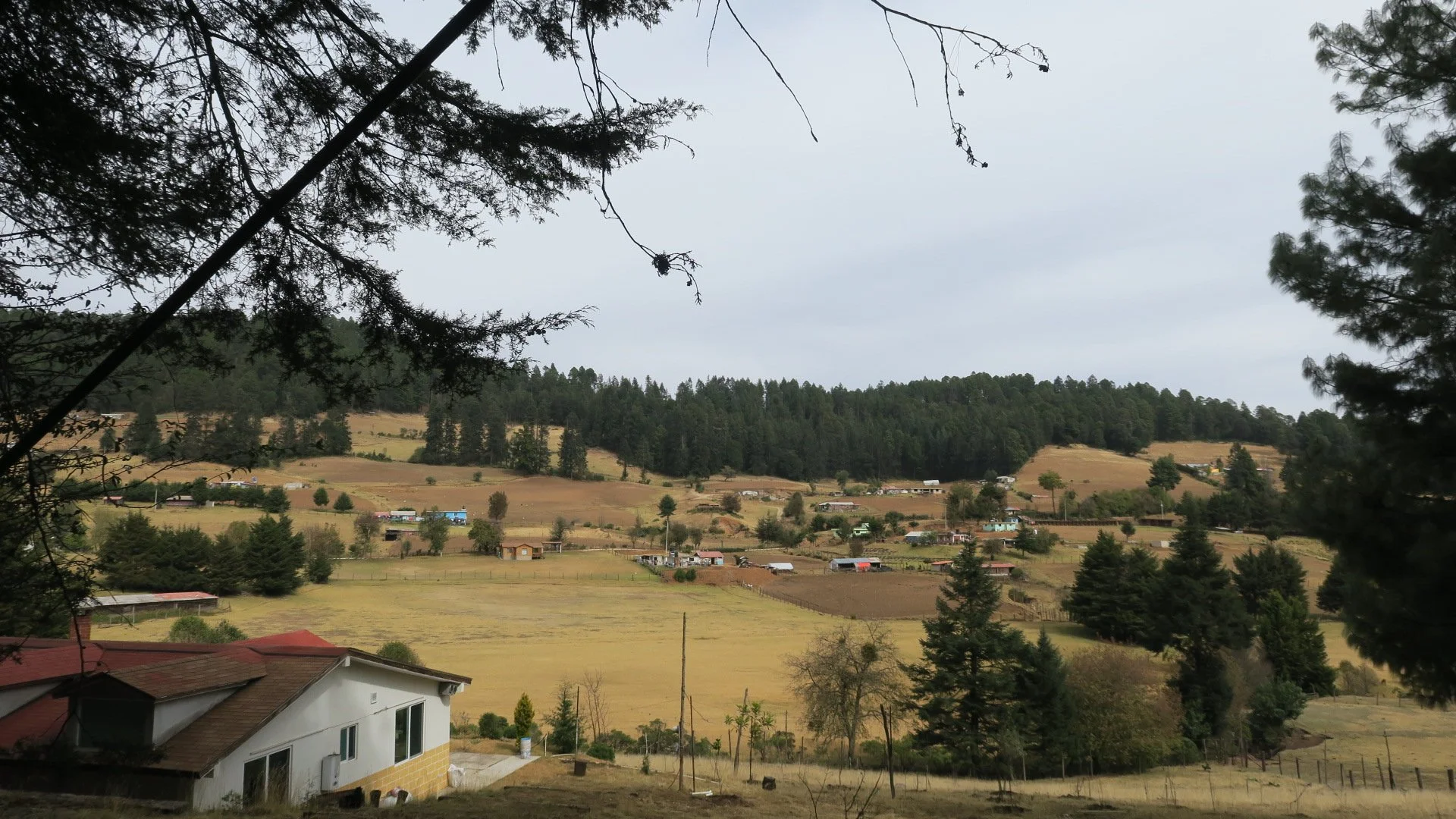 IMG_8664.JPG