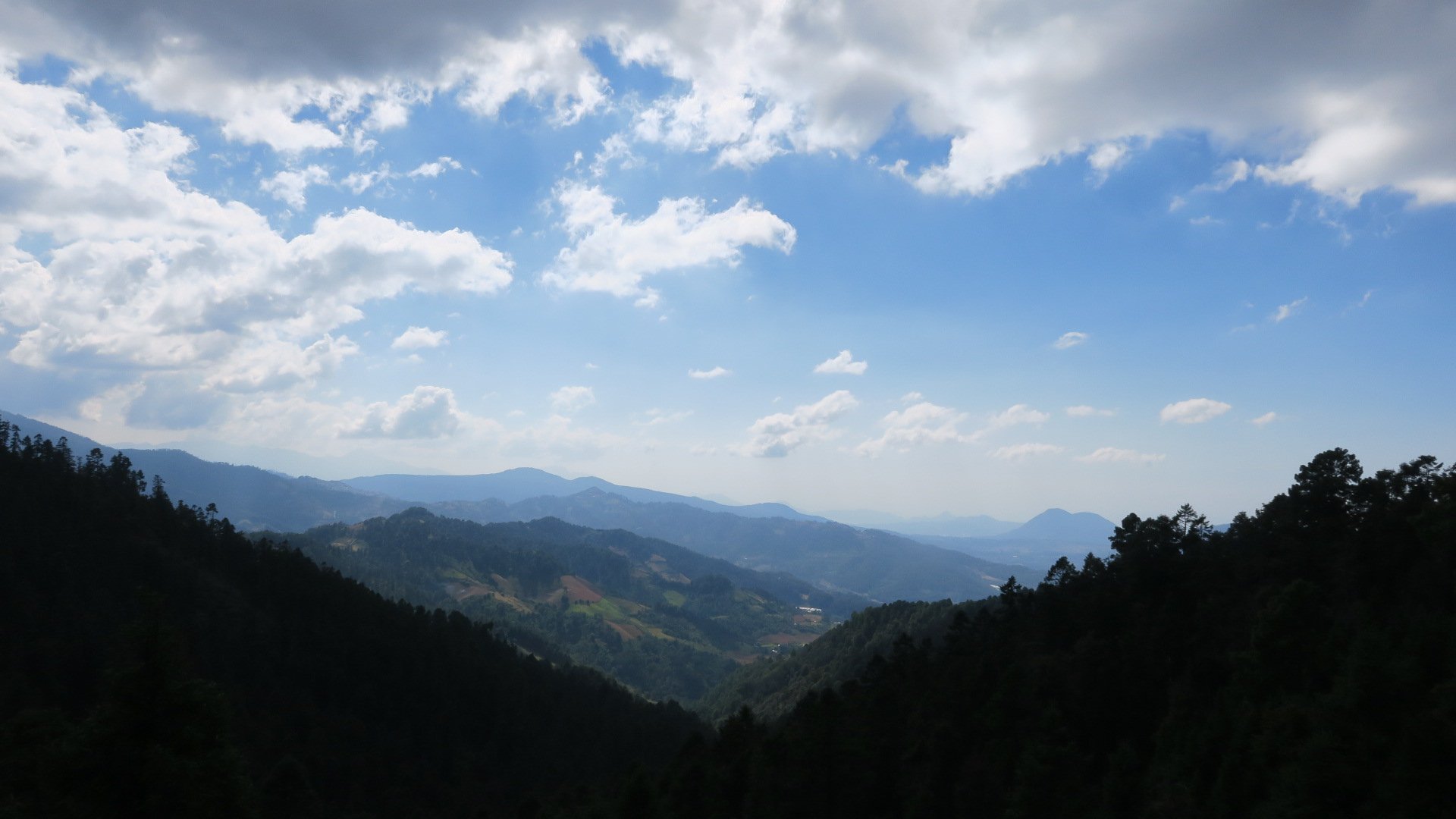 IMG_7749.JPG