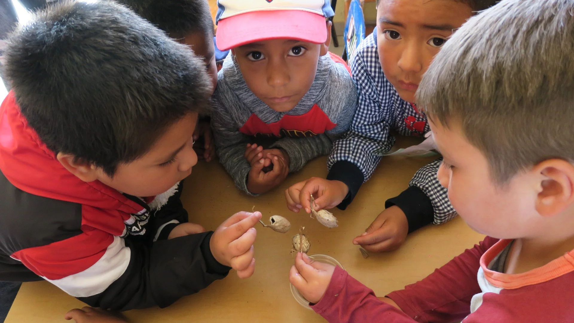 Jean Piaget Kindergarten, El Rosario Sanctuary