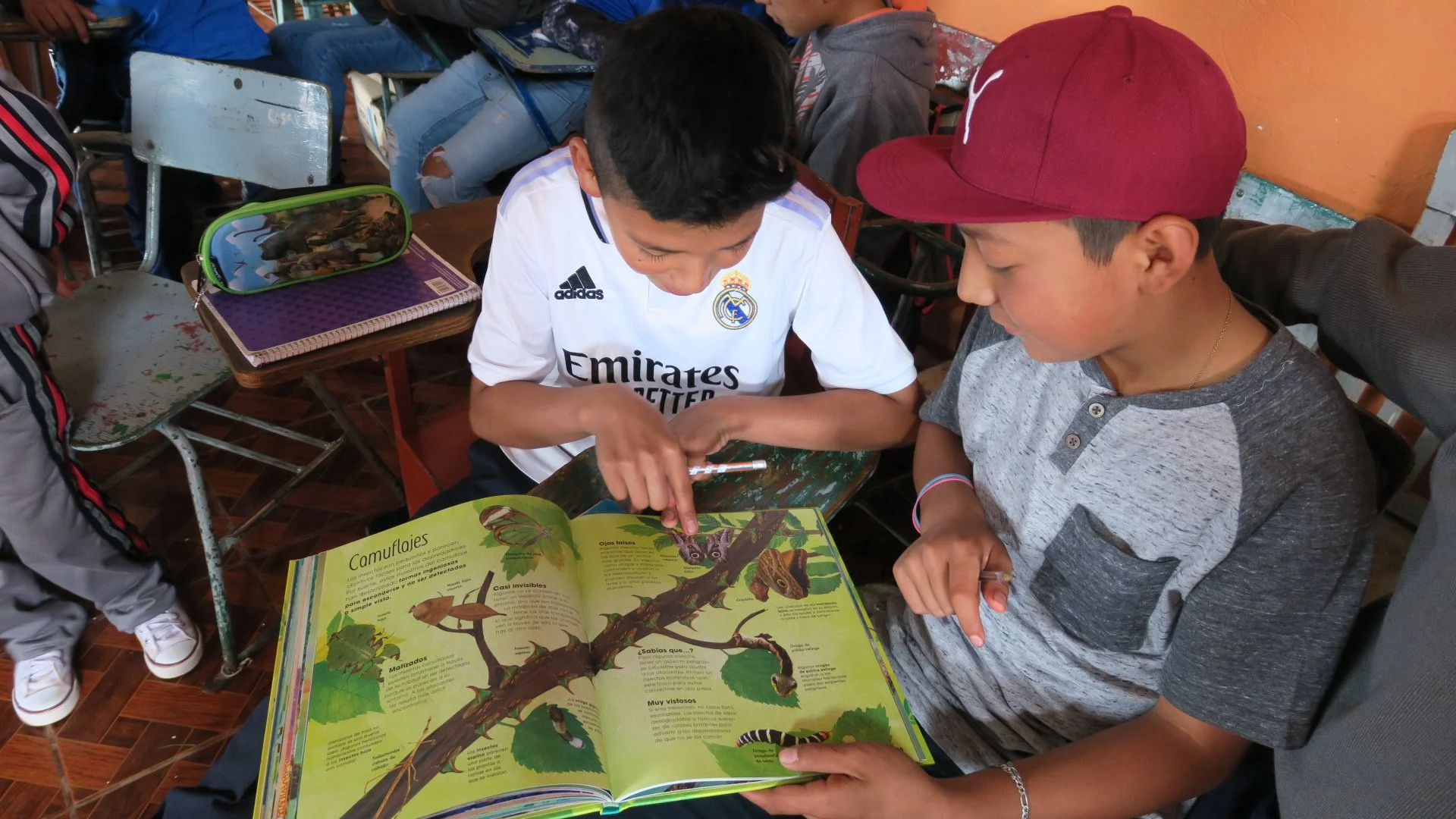 Emiliano Zapata Elementary, El Rosario Sanctuary