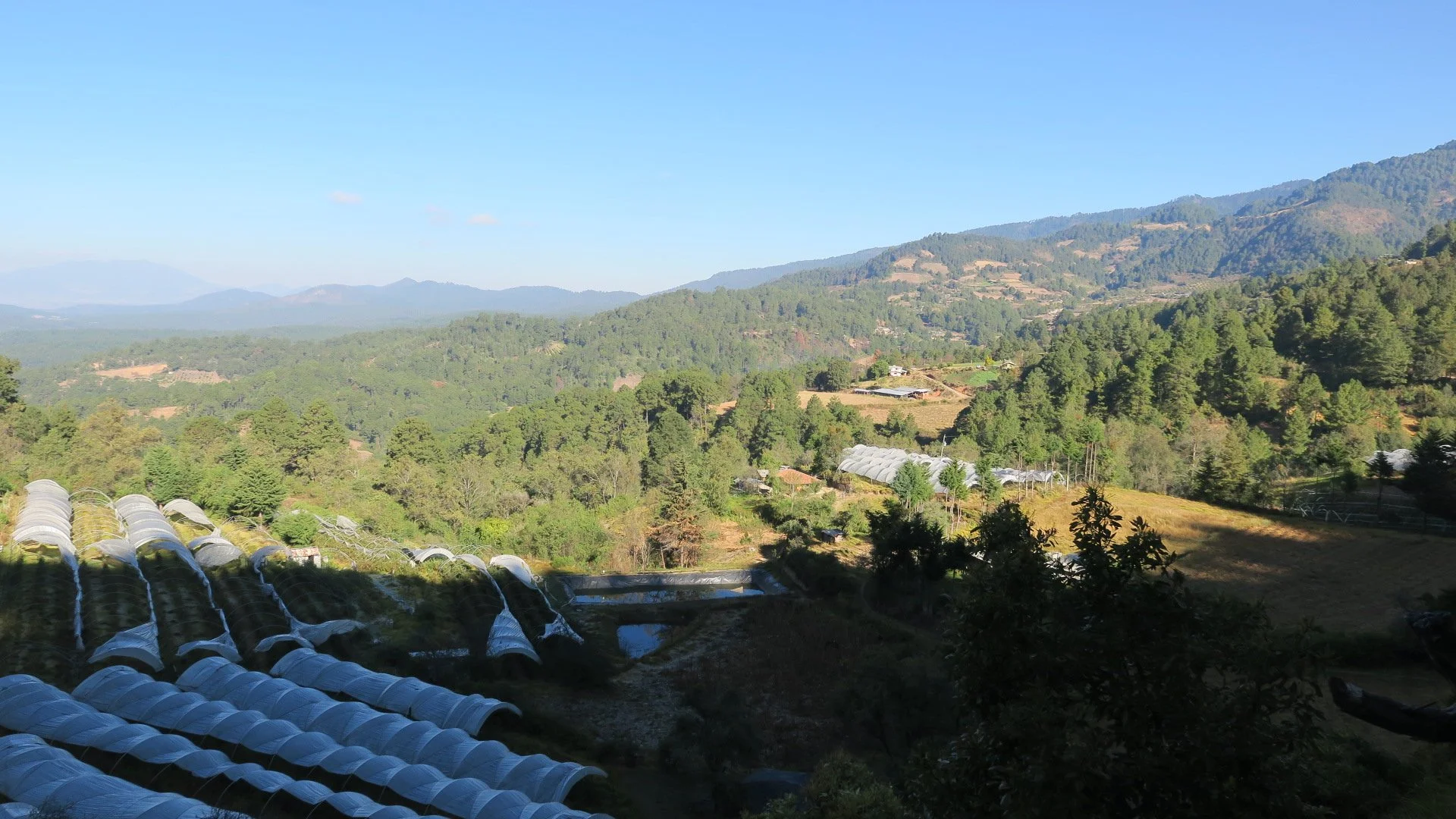 Educación y Patria Elementary, Sierra Chincua Sanctuary
