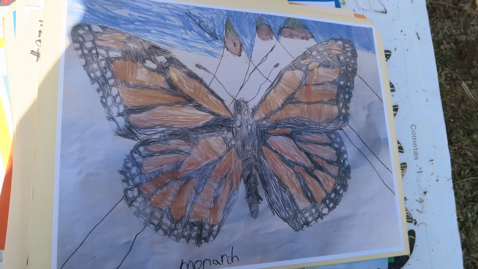 IMG_4107.JPG