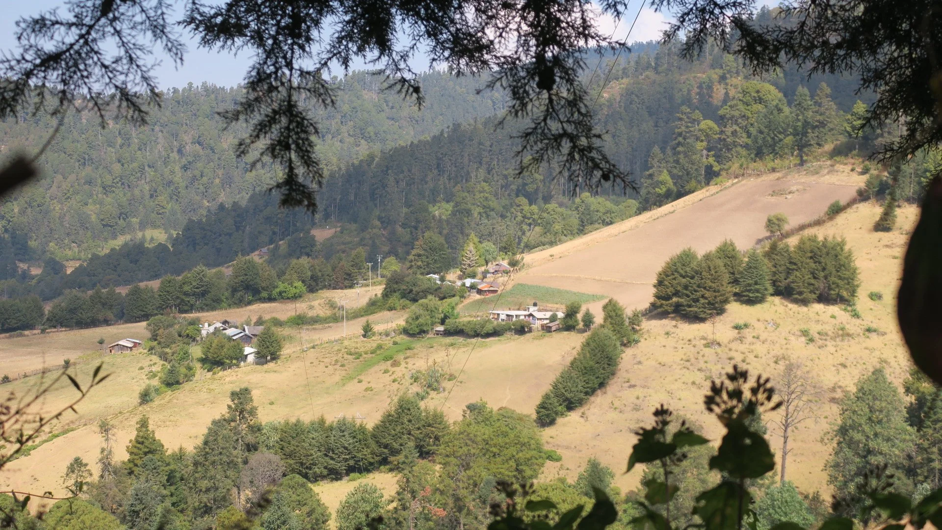 11 de Julio Elementary Sierra Chincua Sanctuary