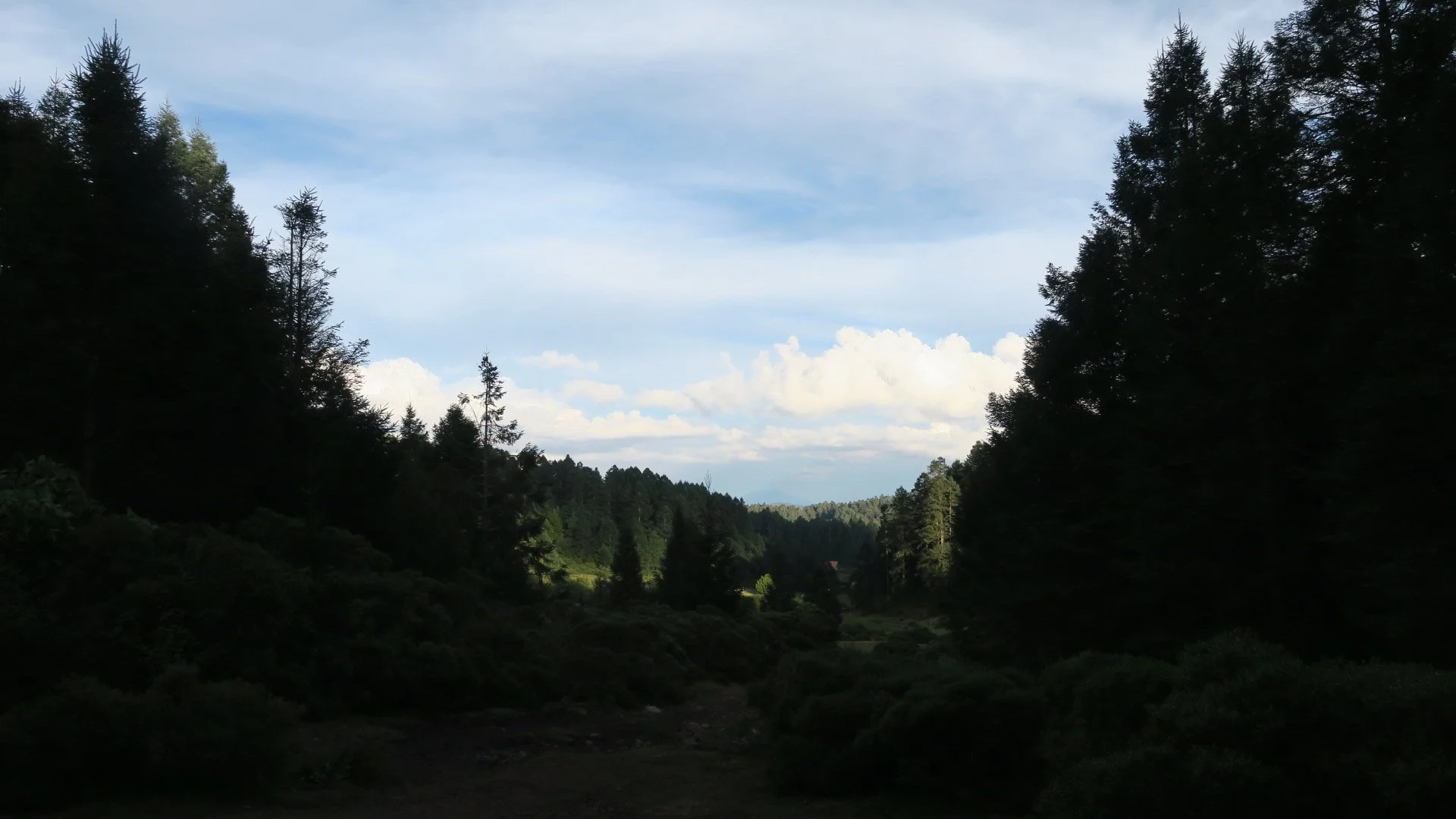IMG_6754.JPG