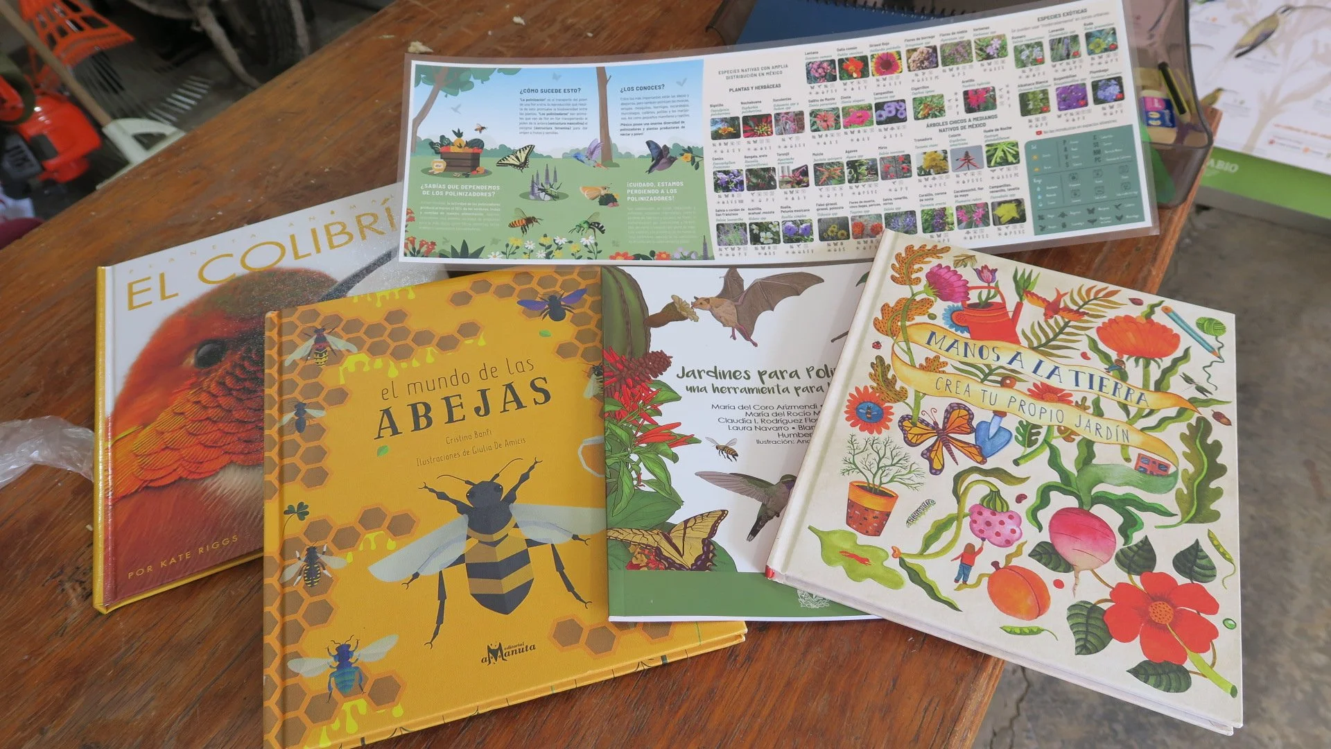 Jaime Torres Bodet Middle School