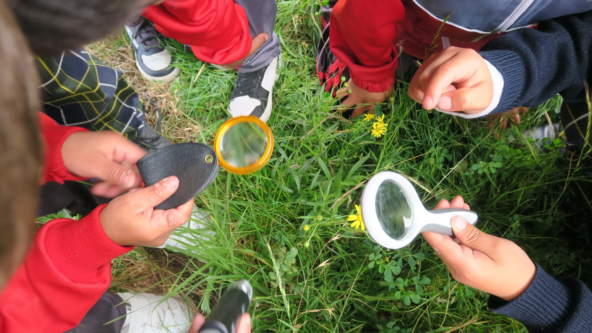 Enrique Creel Kindergarten