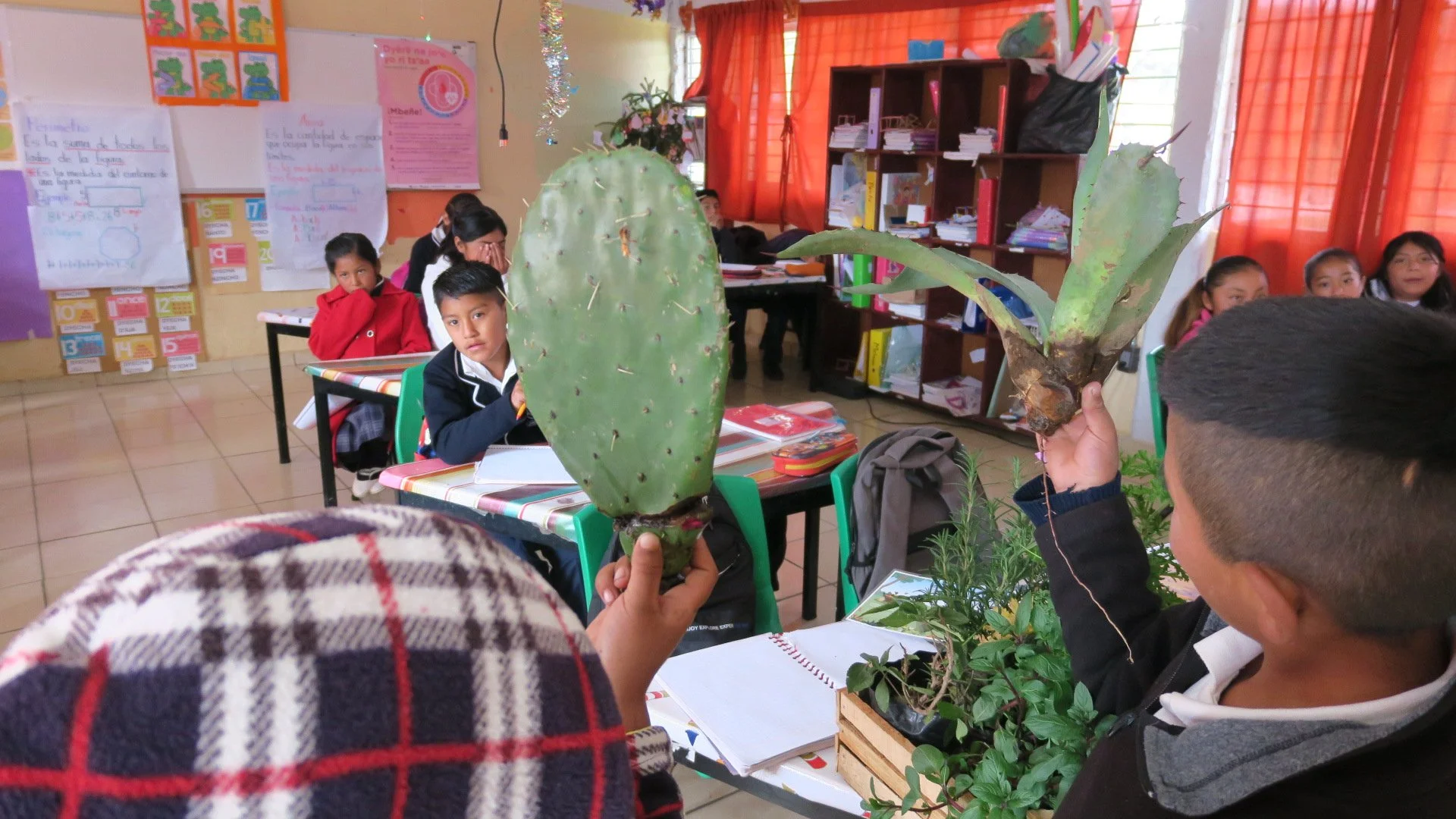 Emiliano Zapata Elementary